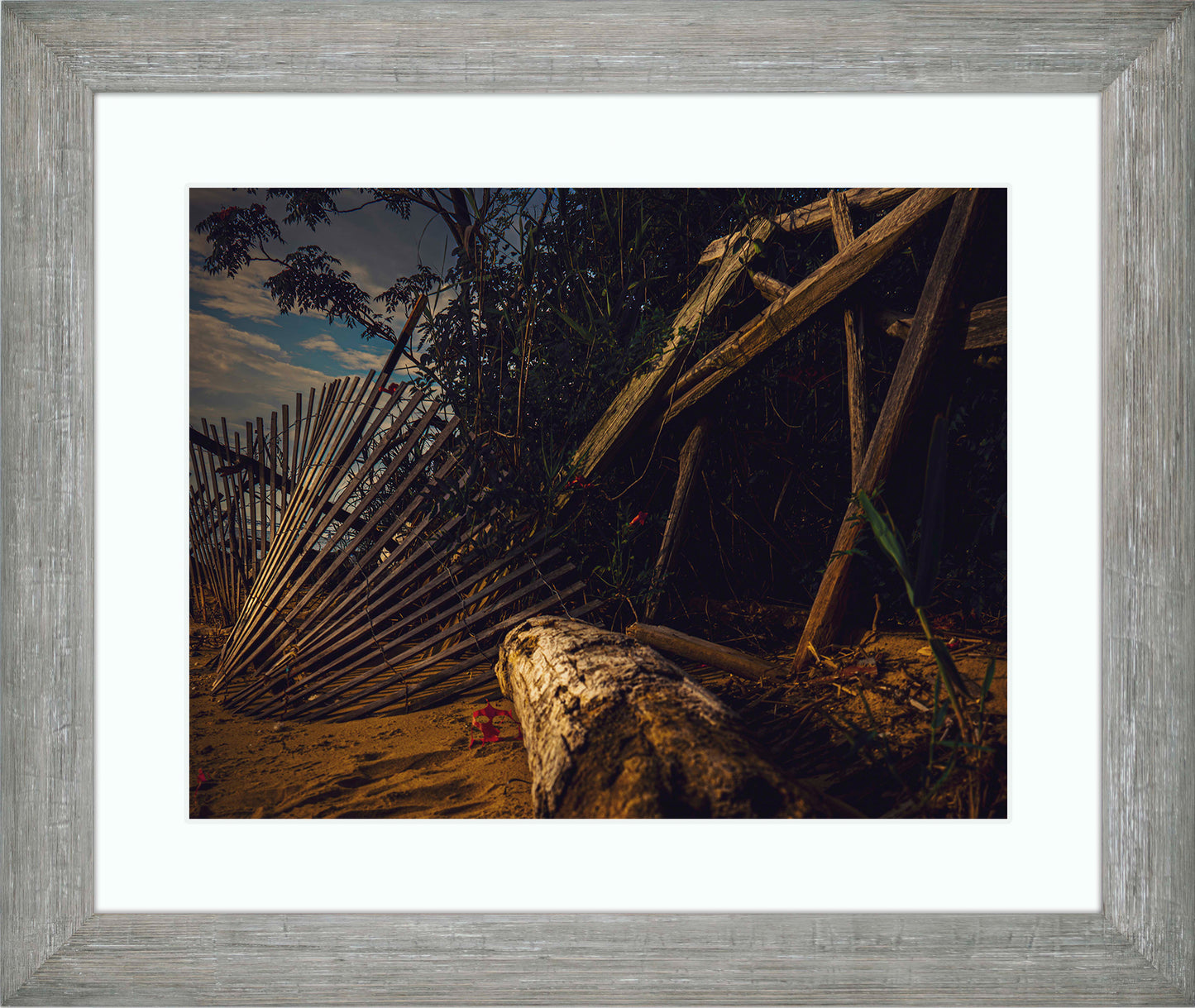 Storm Damage at Matapeake -- Digital Print
