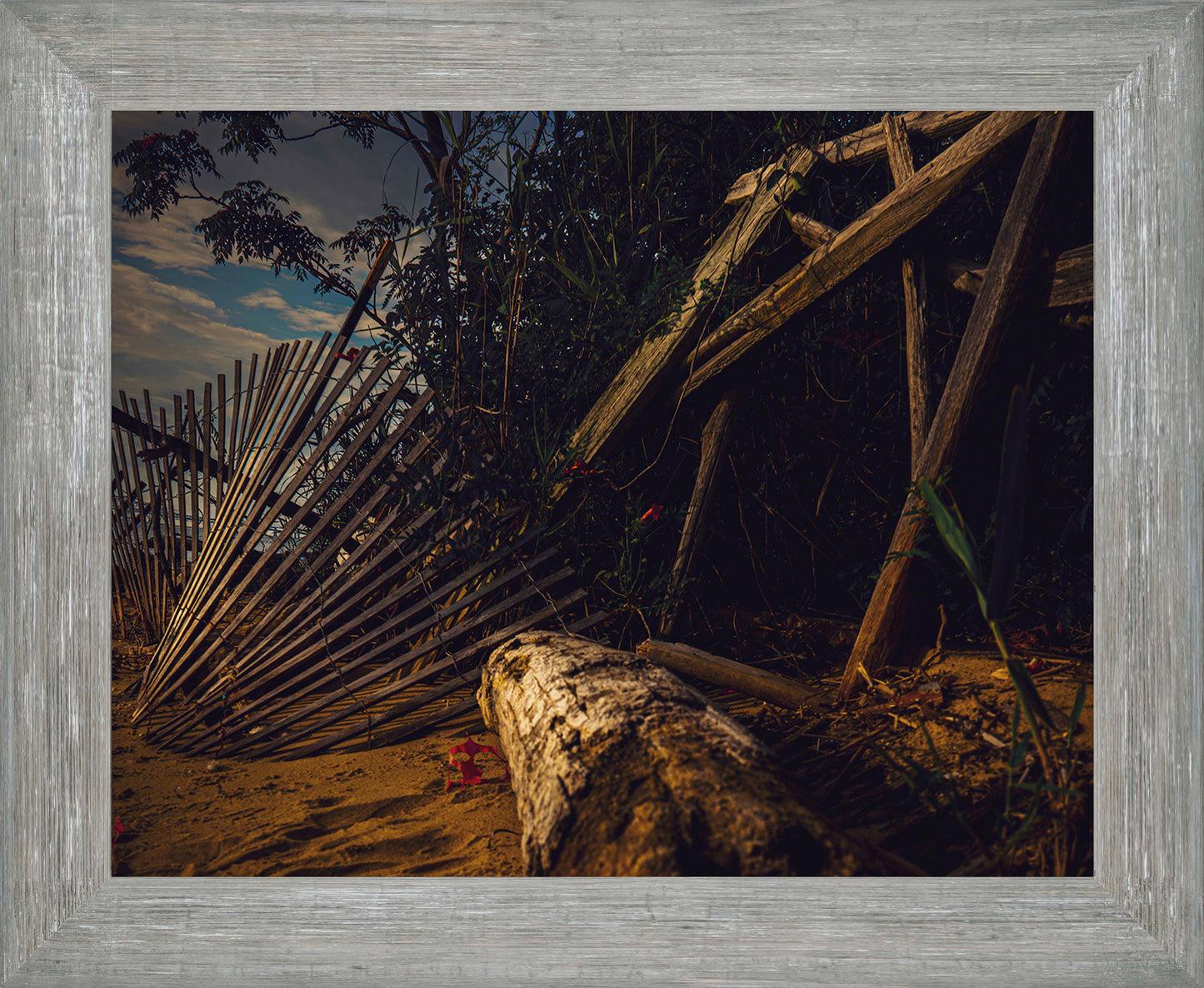 Storm Damage at Matapeake -- Digital Print