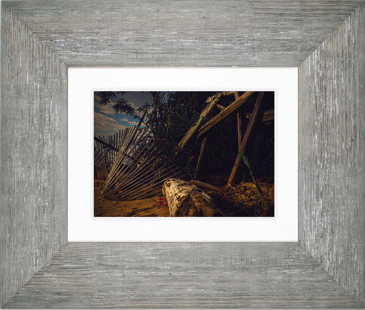 Storm Damage at Matapeake -- Digital Print