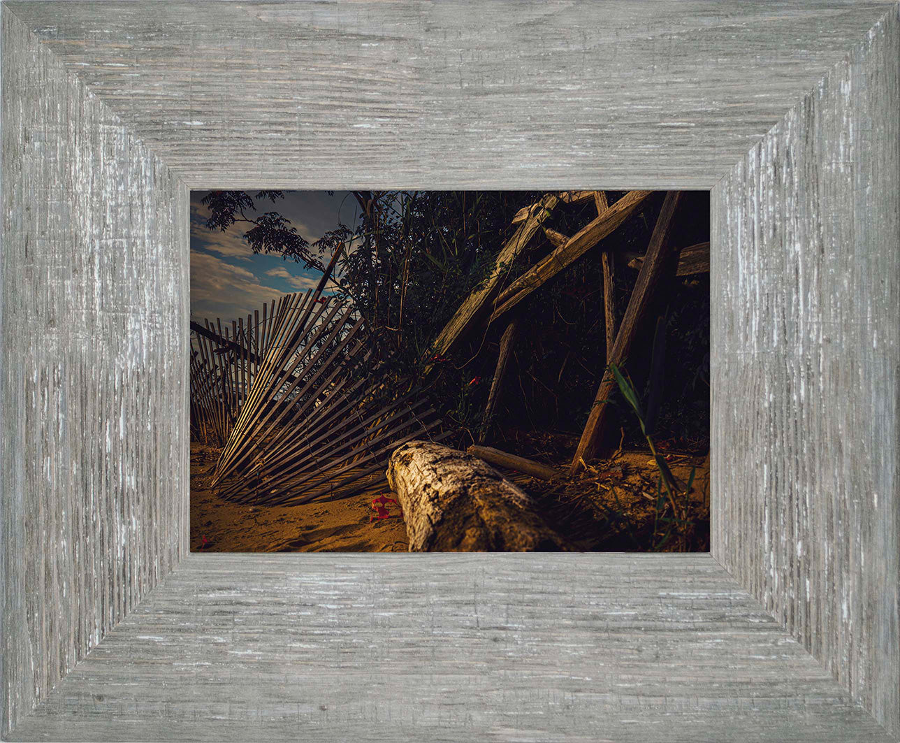 Storm Damage at Matapeake -- Digital Print