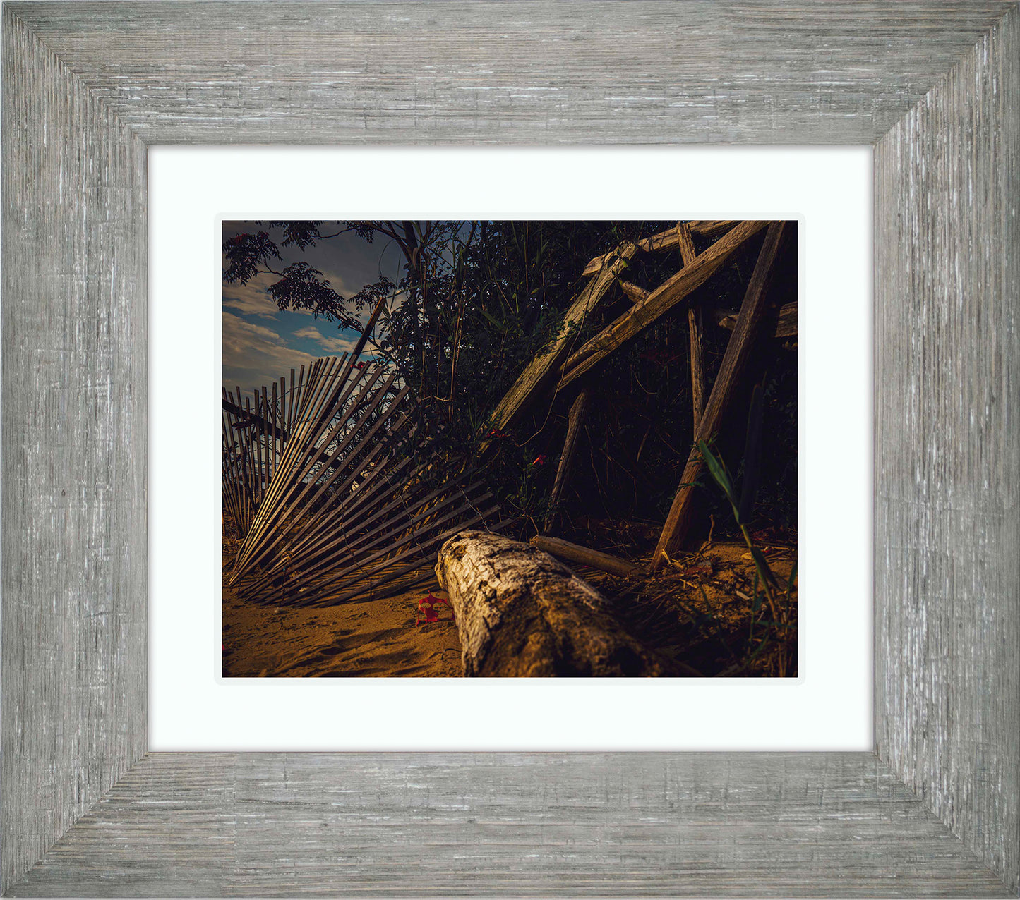 Storm Damage at Matapeake -- Digital Print