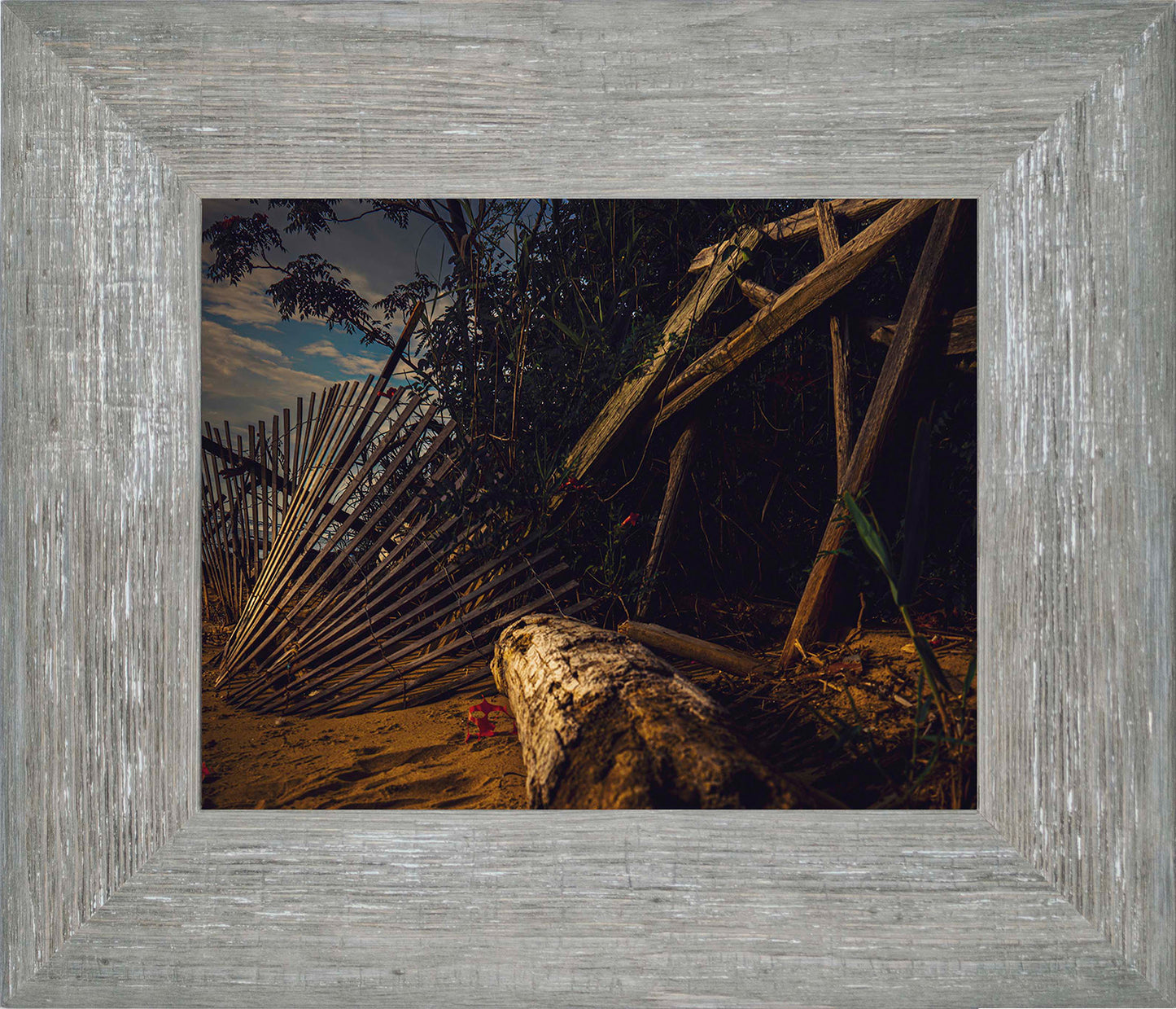 Storm Damage at Matapeake -- Digital Print