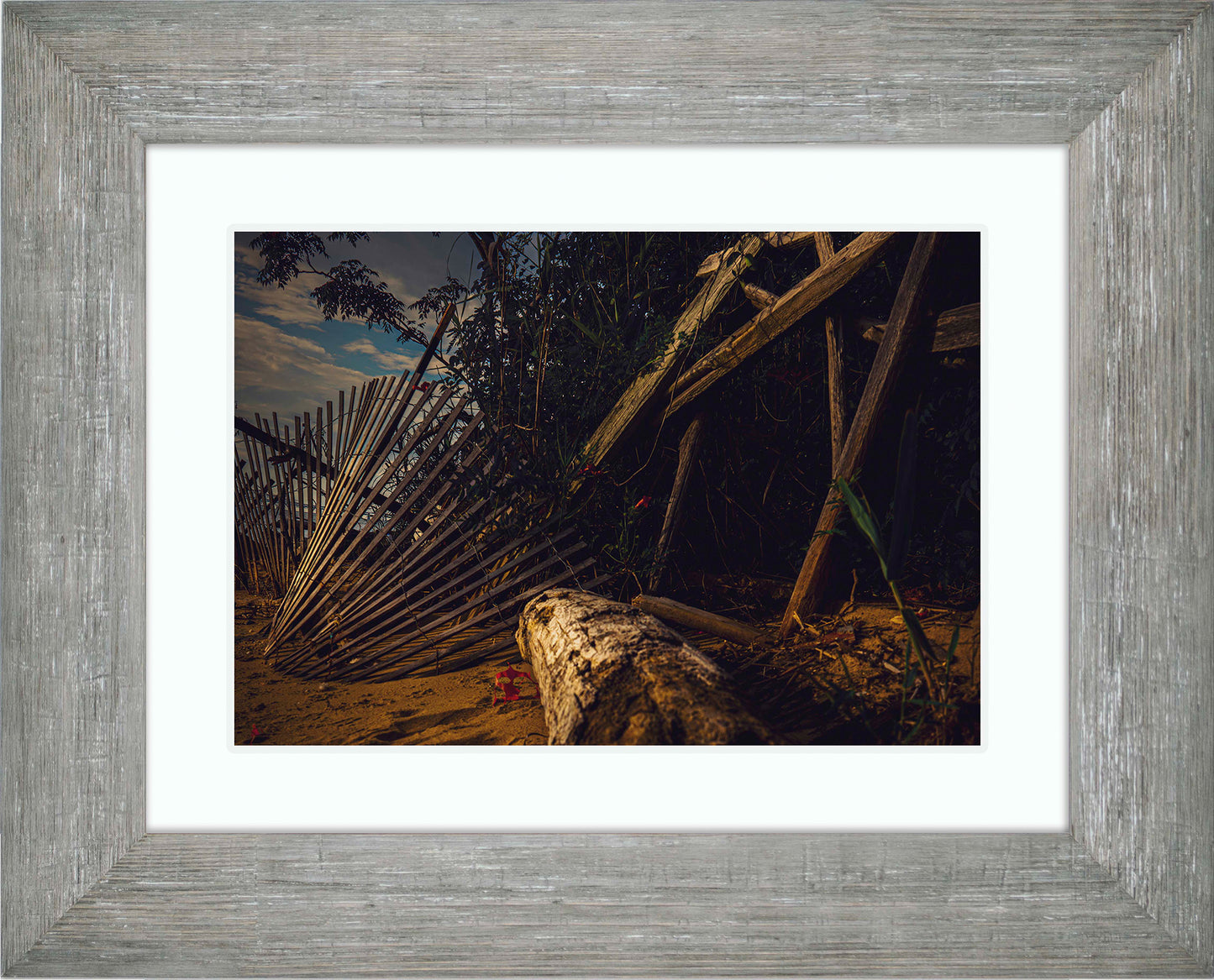 Storm Damage at Matapeake -- Digital Print