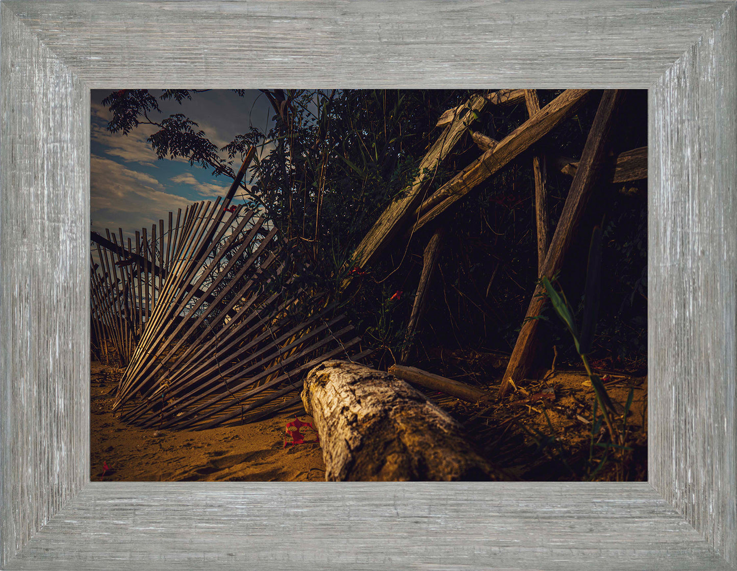 Storm Damage at Matapeake -- Digital Print