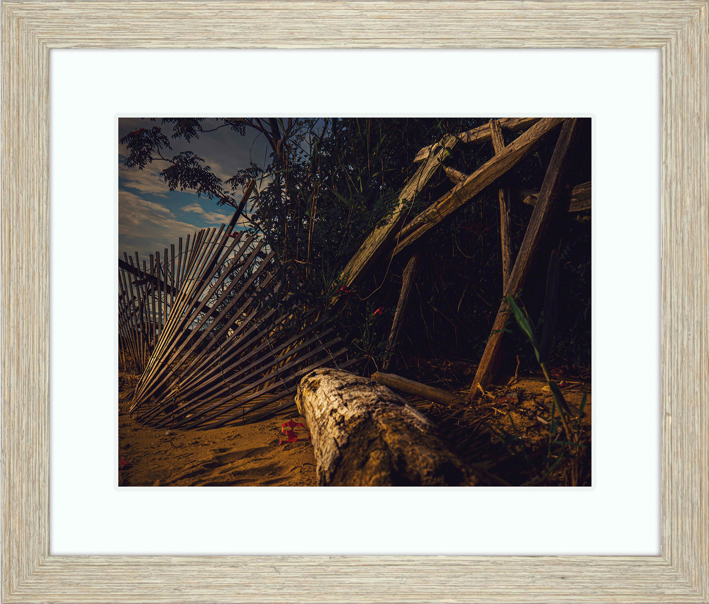 Storm Damage at Matapeake -- Digital Print