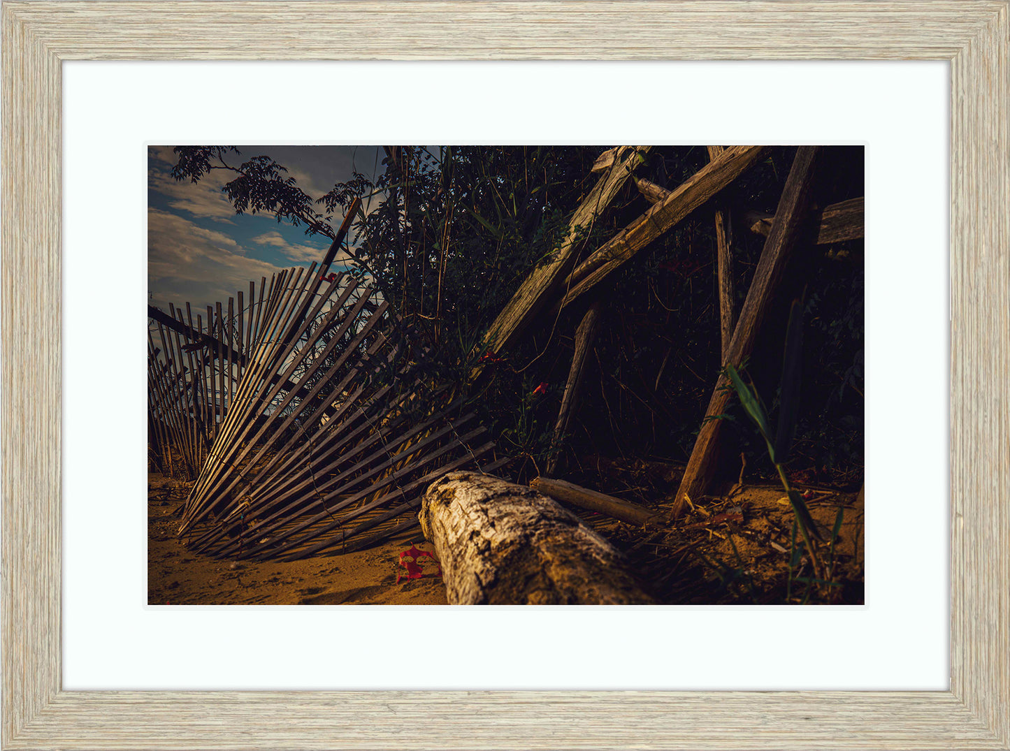 Storm Damage at Matapeake -- Digital Print