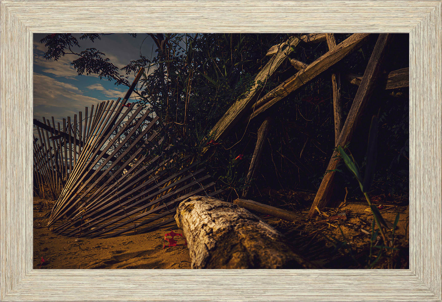 Storm Damage at Matapeake -- Digital Print