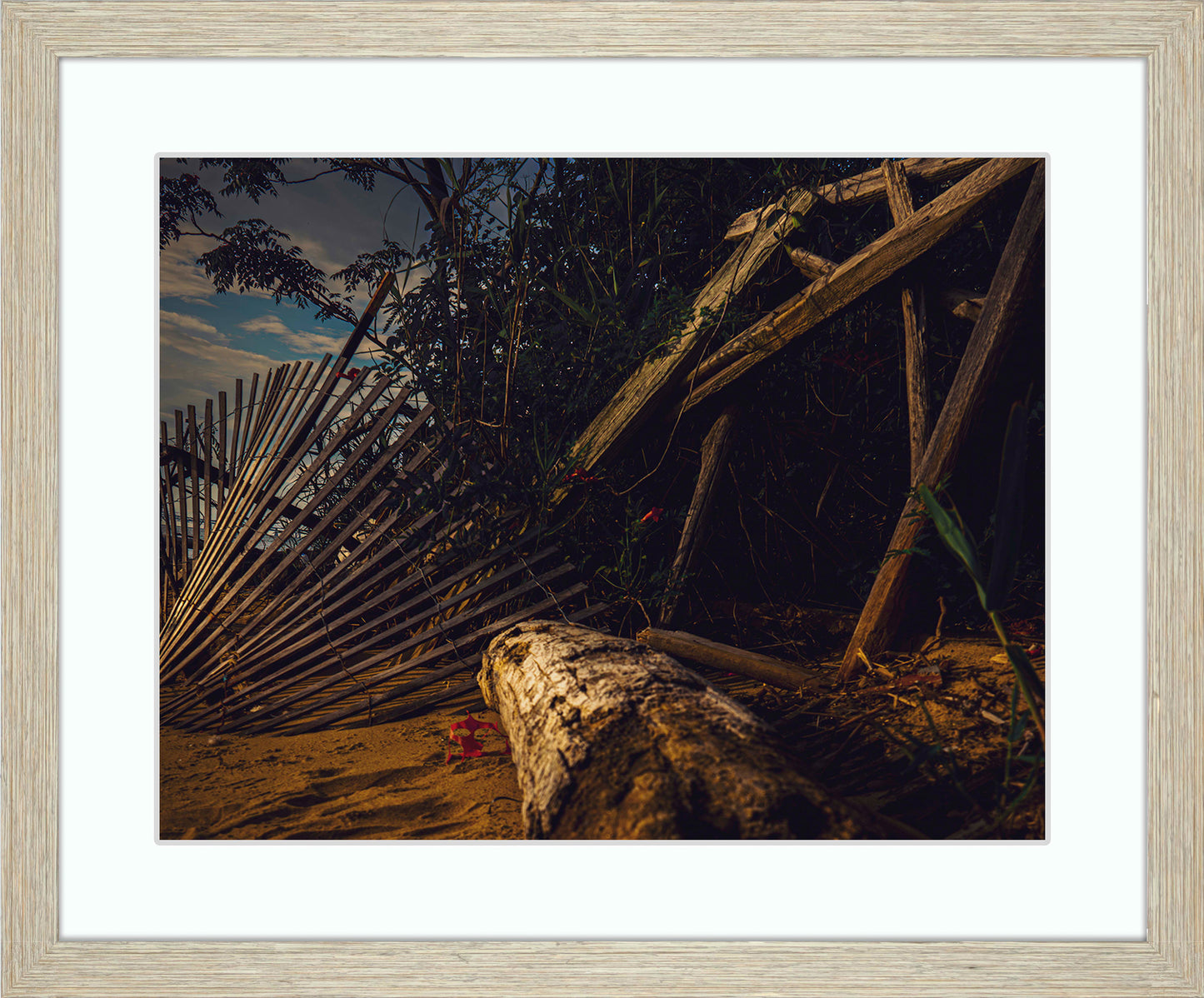 Storm Damage at Matapeake -- Digital Print