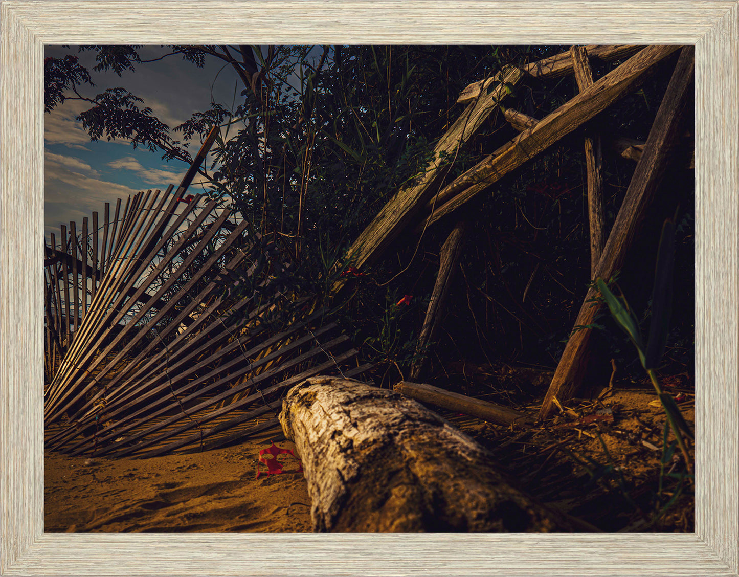 Storm Damage at Matapeake -- Digital Print