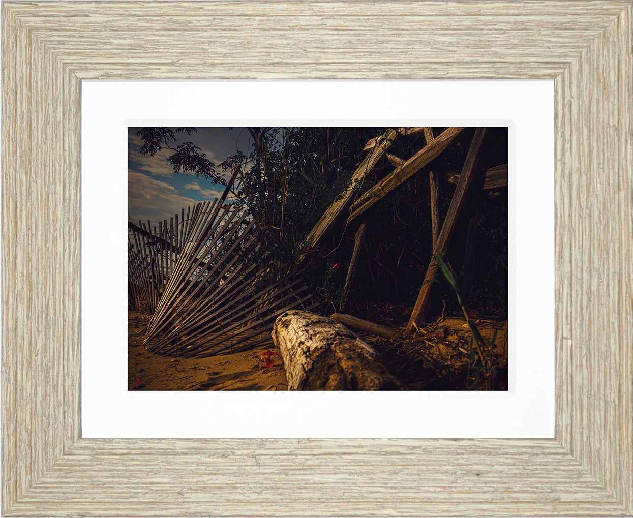 Storm Damage at Matapeake -- Digital Print