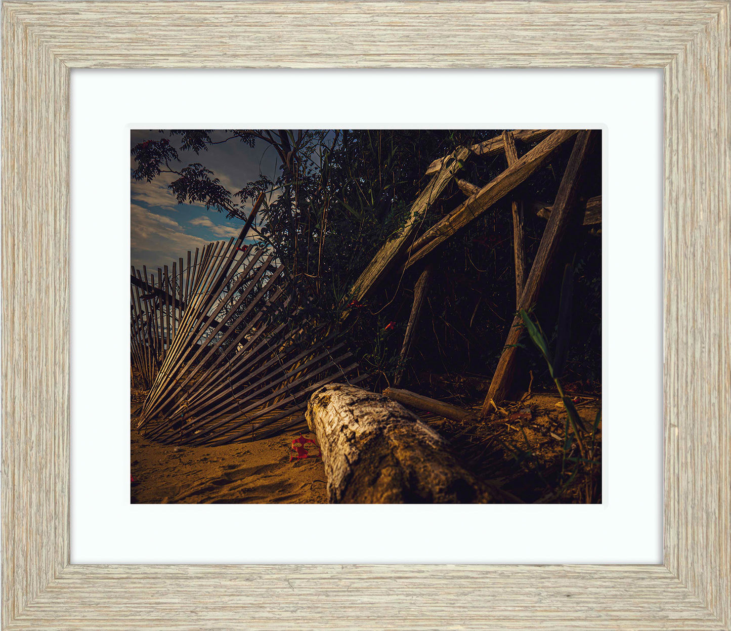 Storm Damage at Matapeake -- Digital Print
