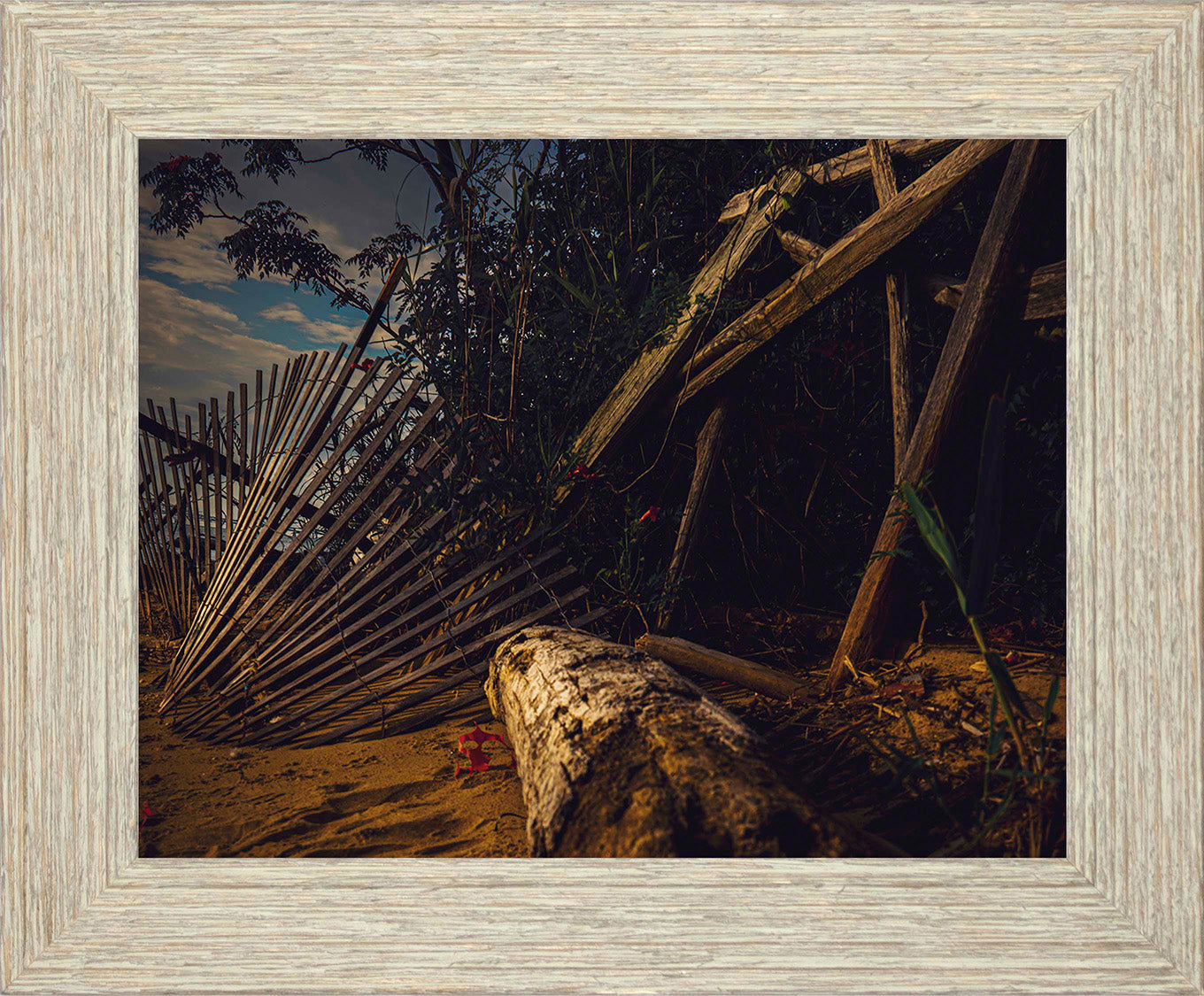 Storm Damage at Matapeake -- Digital Print