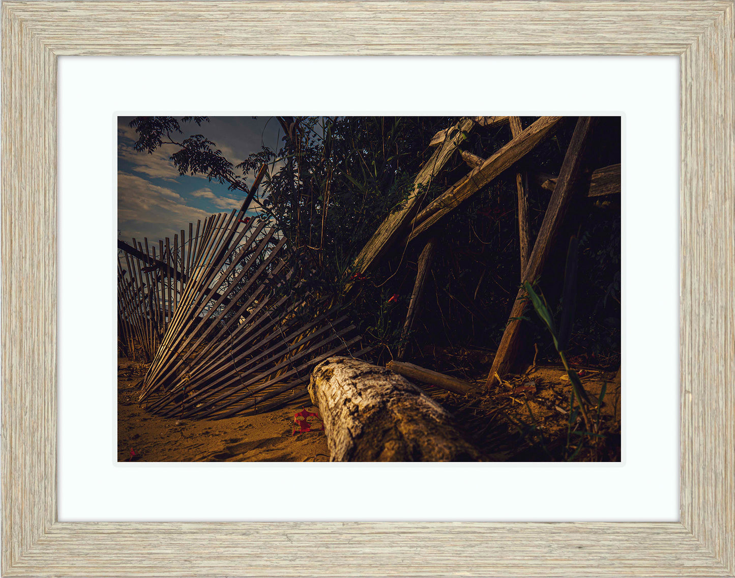 Storm Damage at Matapeake -- Digital Print