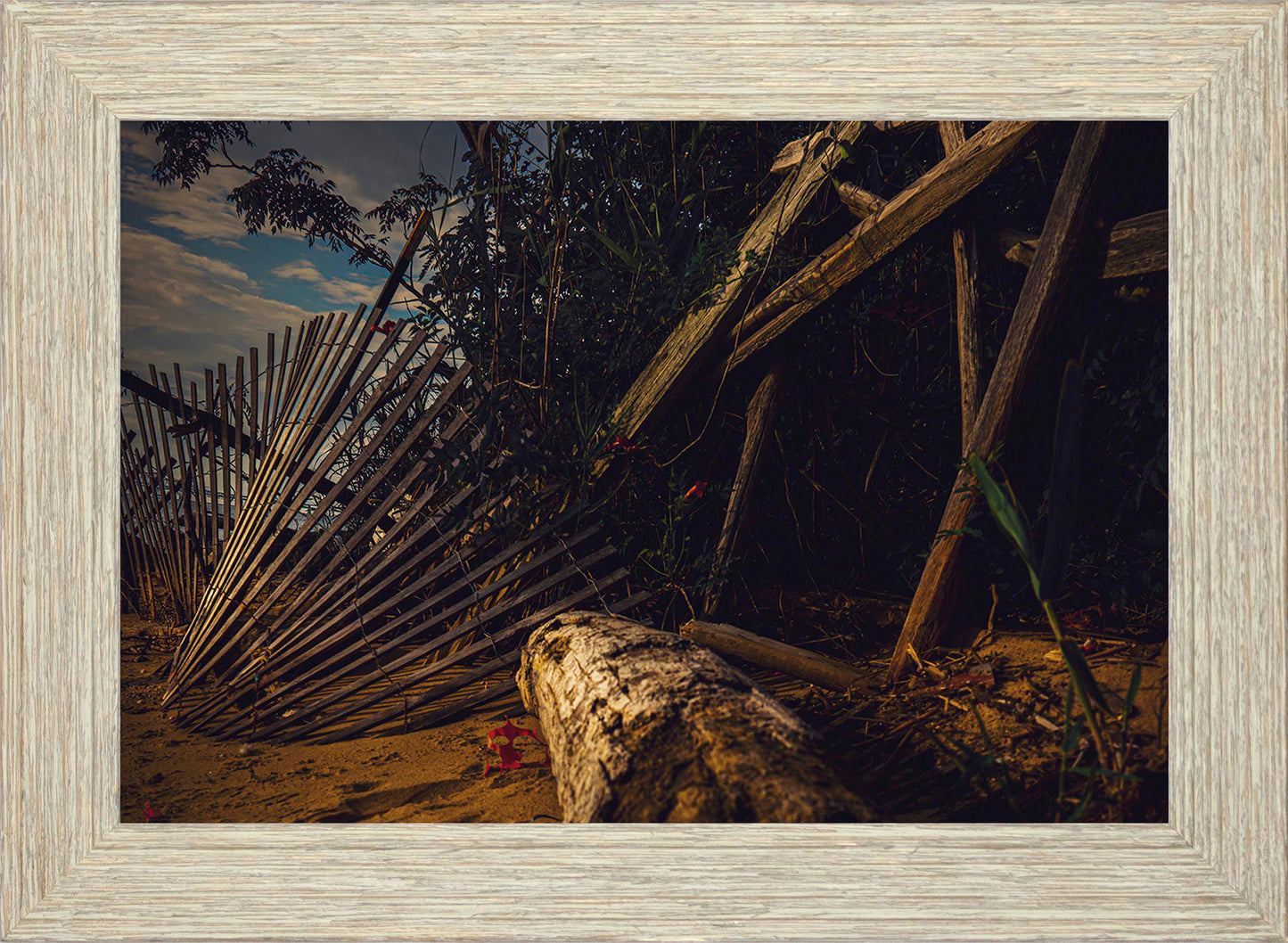 Storm Damage at Matapeake -- Digital Print