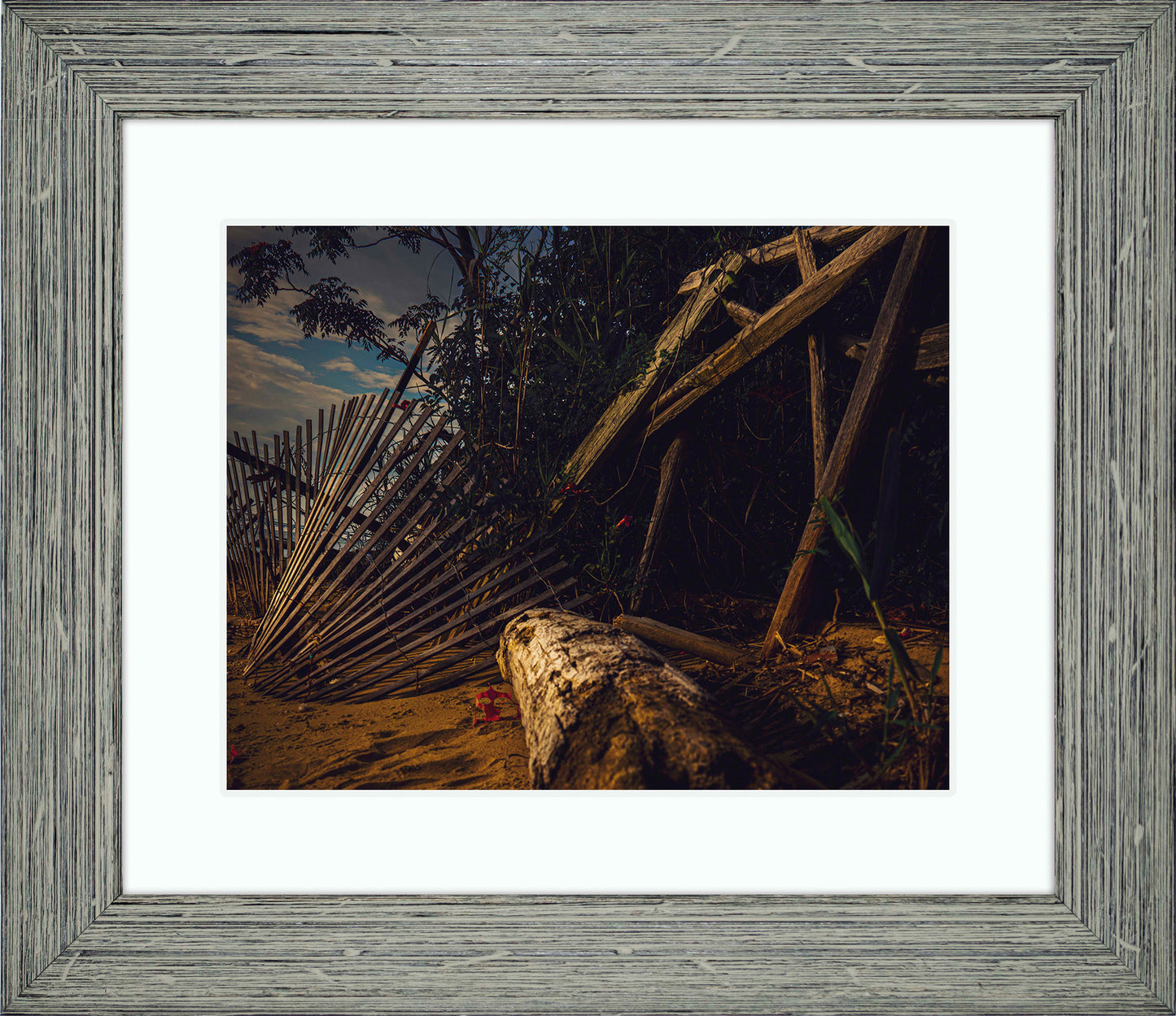 Storm Damage at Matapeake -- Digital Print