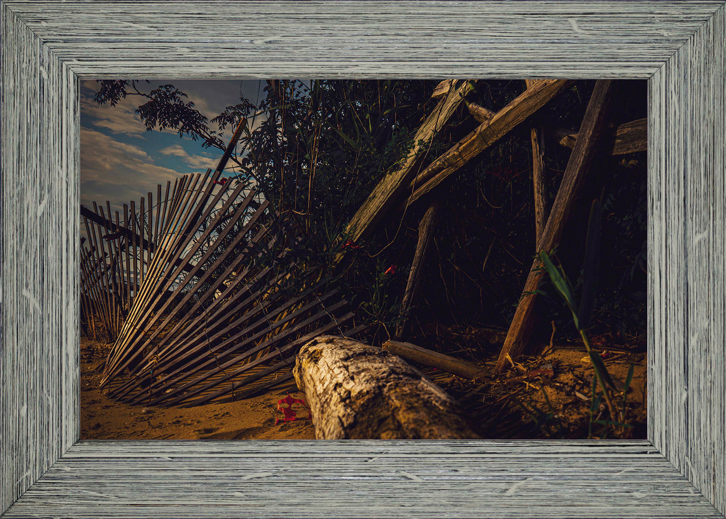 Storm Damage at Matapeake -- Digital Print