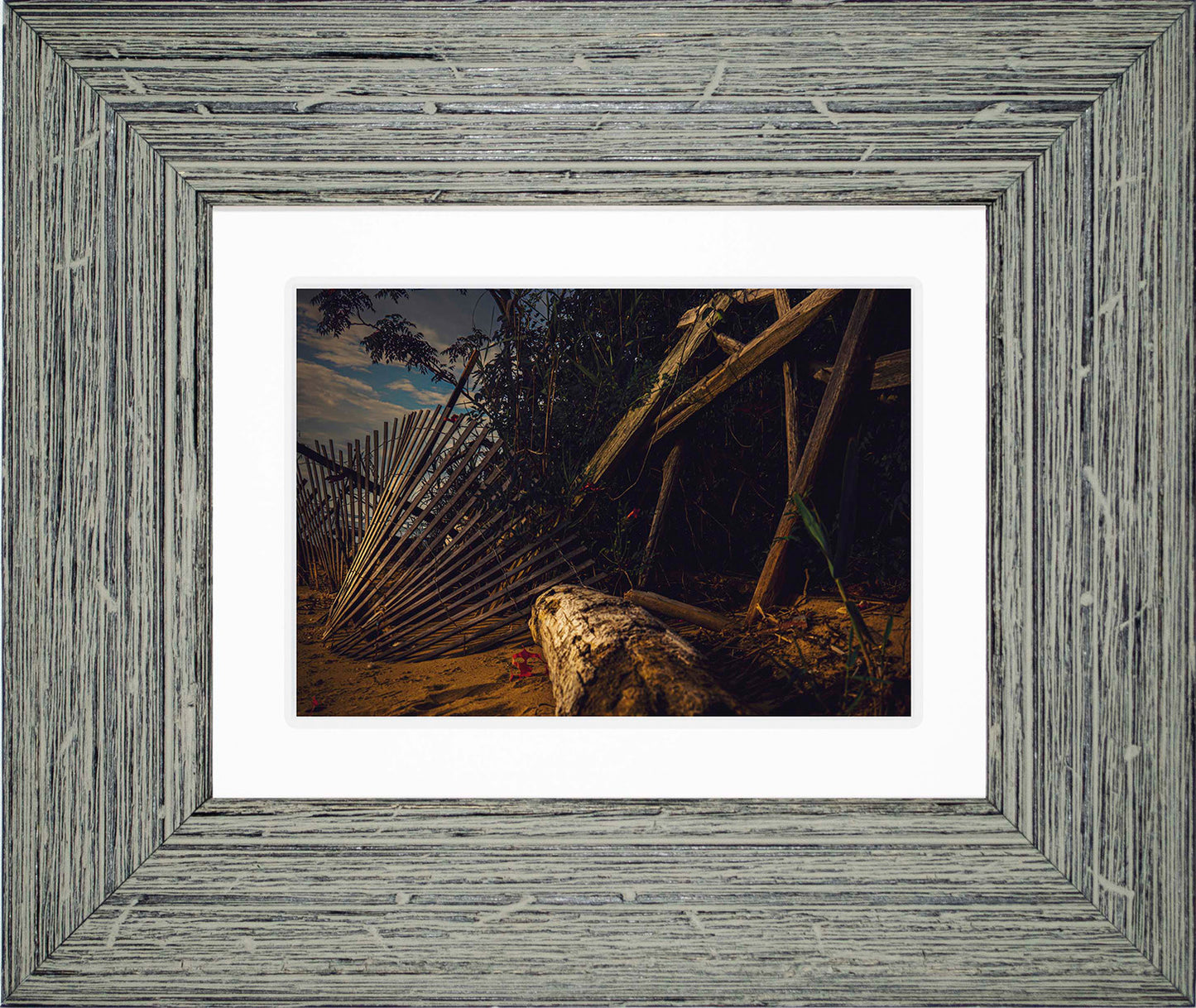 Storm Damage at Matapeake -- Digital Print
