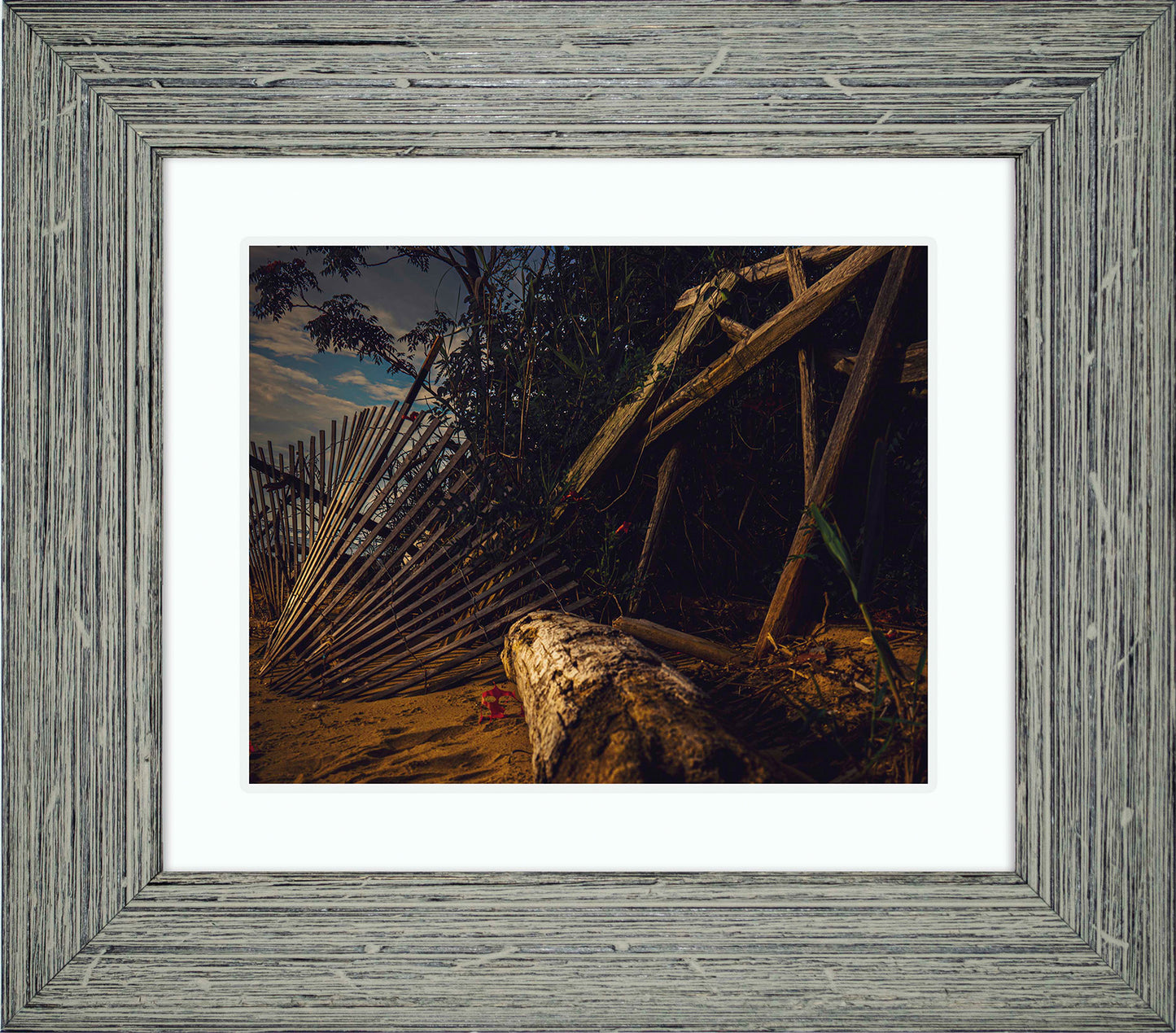 Storm Damage at Matapeake -- Digital Print