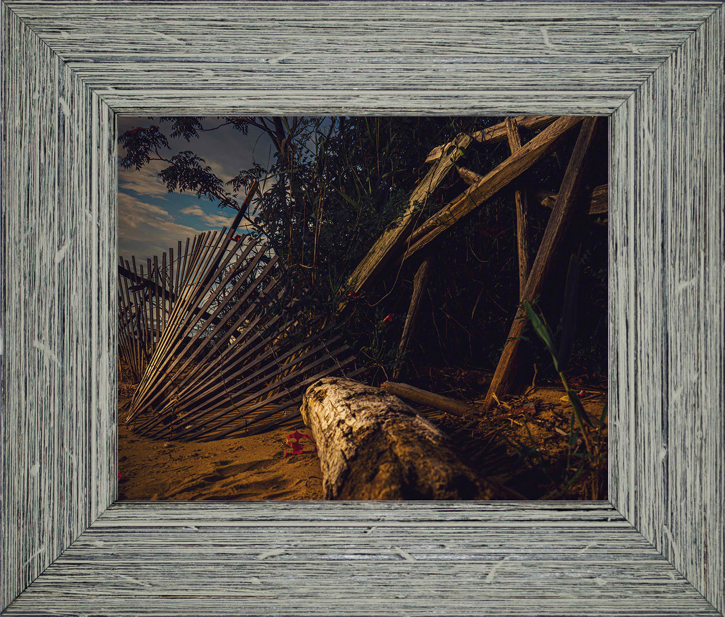 Storm Damage at Matapeake -- Digital Print