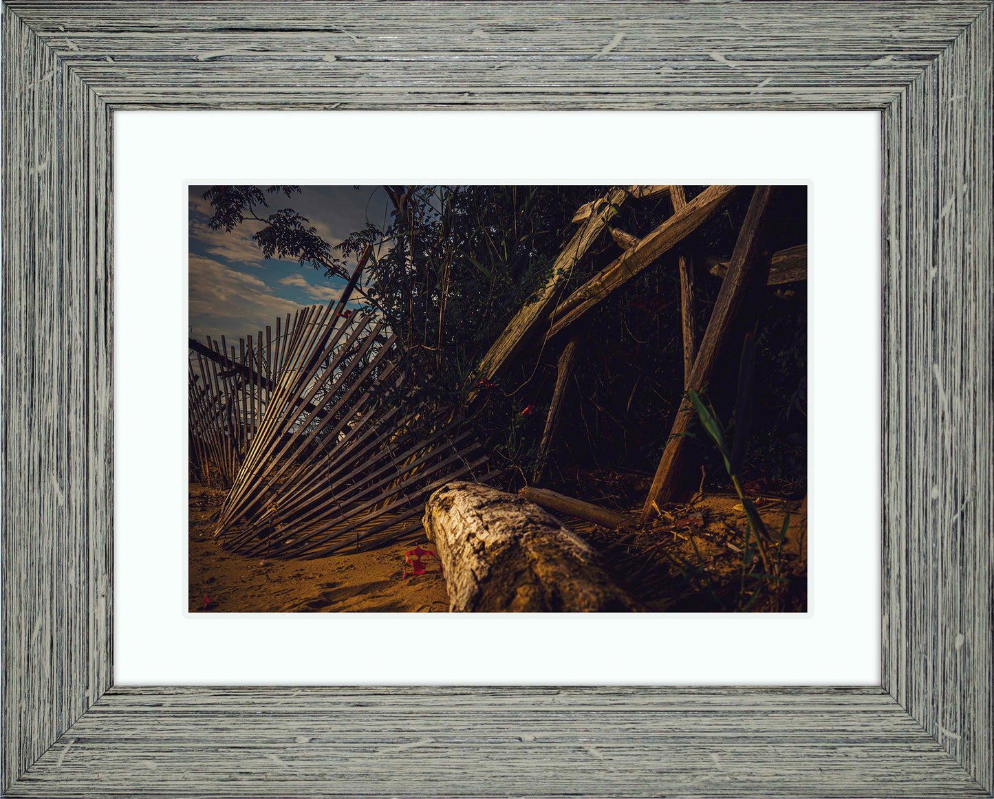 Storm Damage at Matapeake -- Digital Print