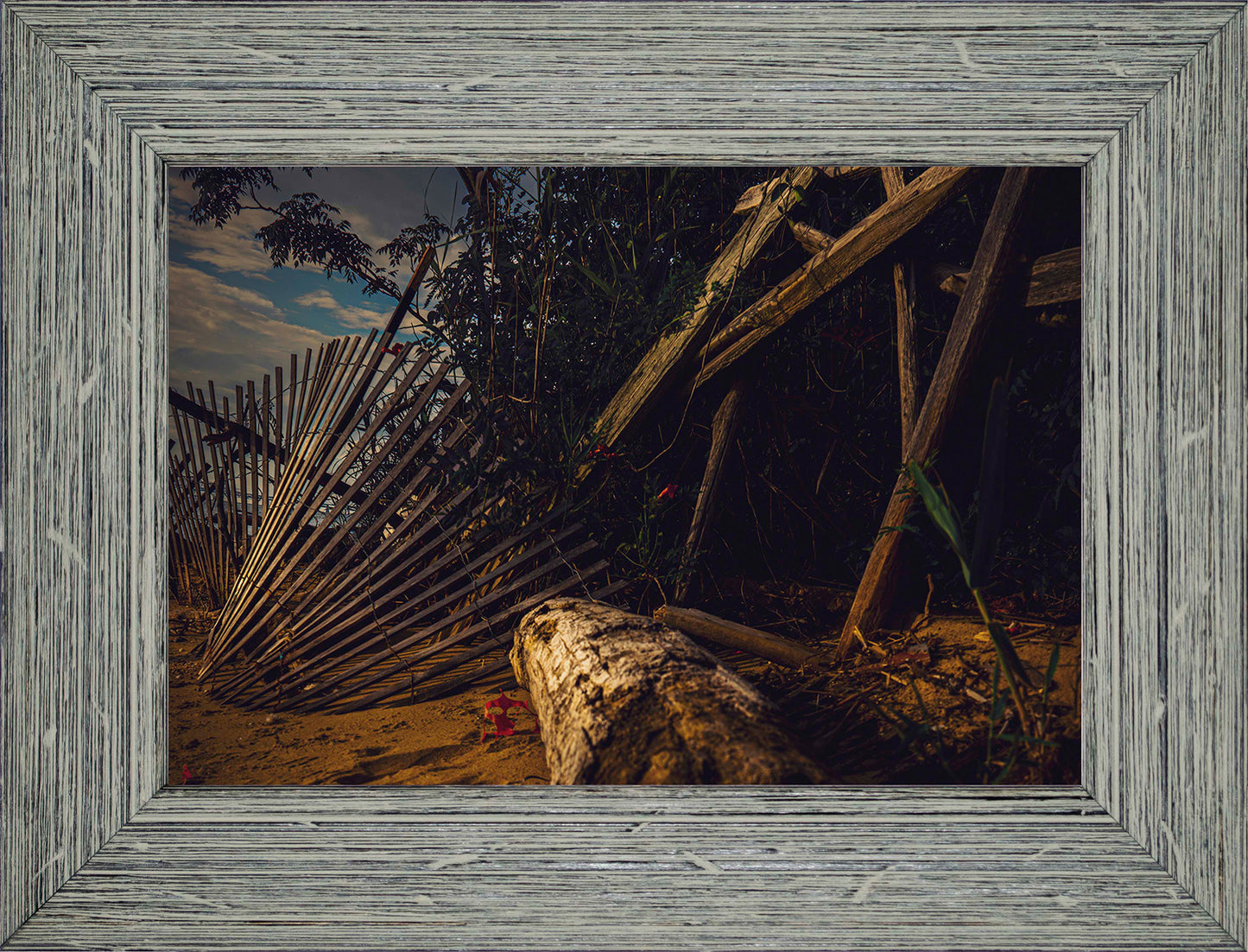 Storm Damage at Matapeake -- Digital Print