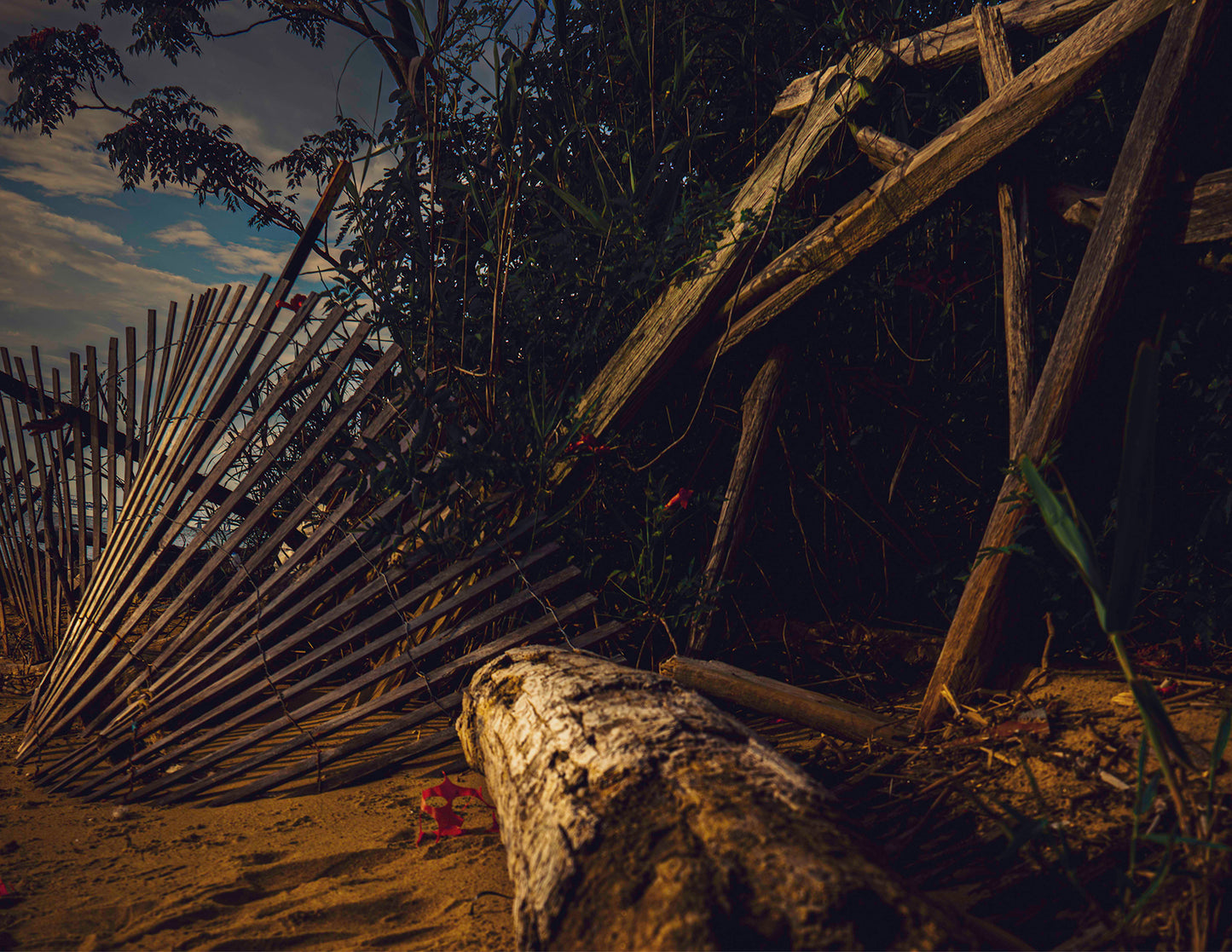 Storm Damage at Matapeake -- Digital Print