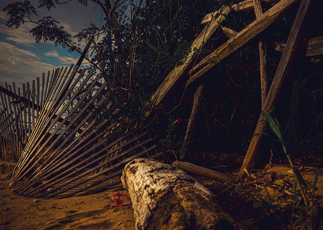 Storm Damage at Matapeake -- Digital Print