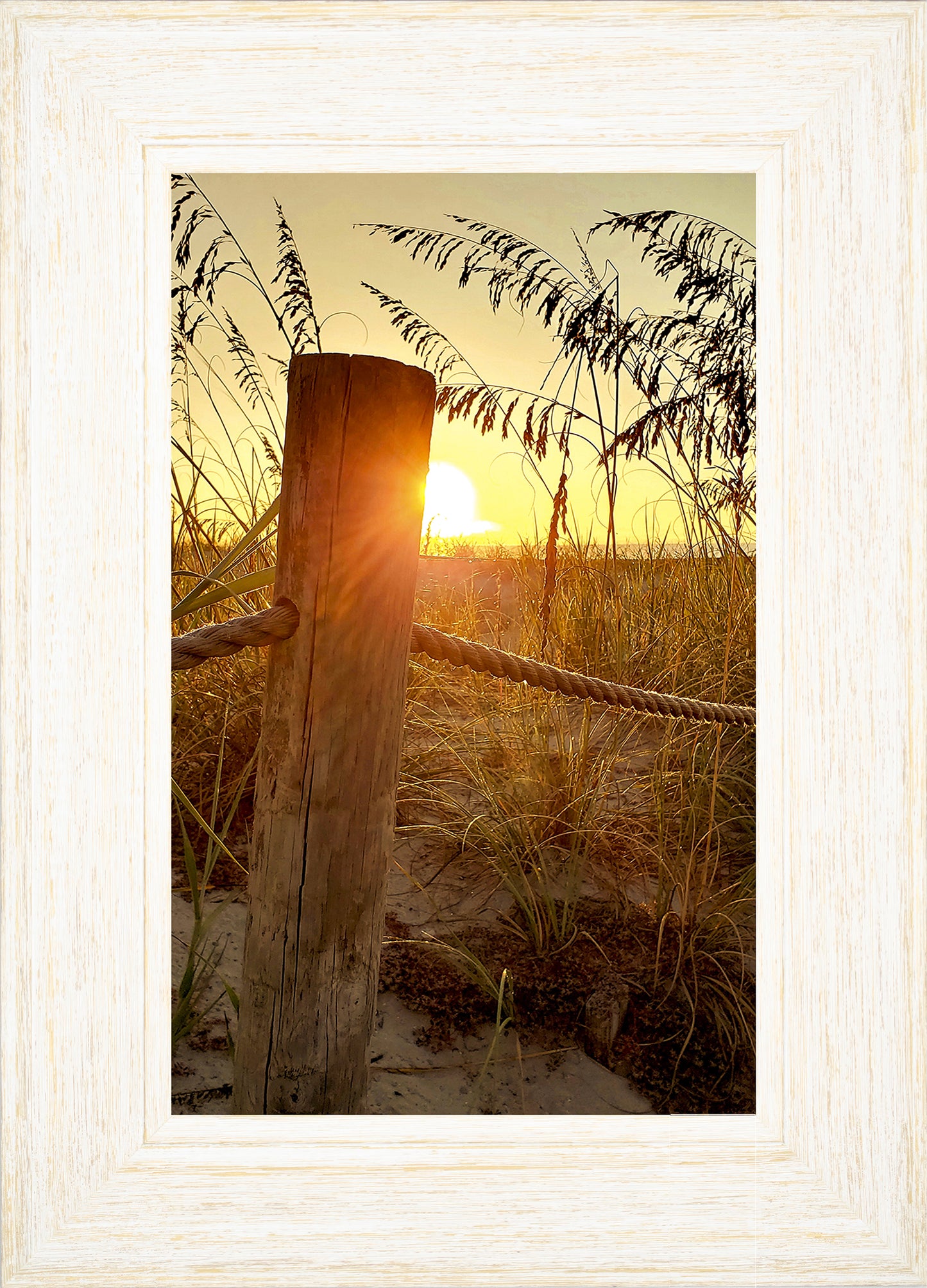 Sunrise at the Dunes -- Digital Print