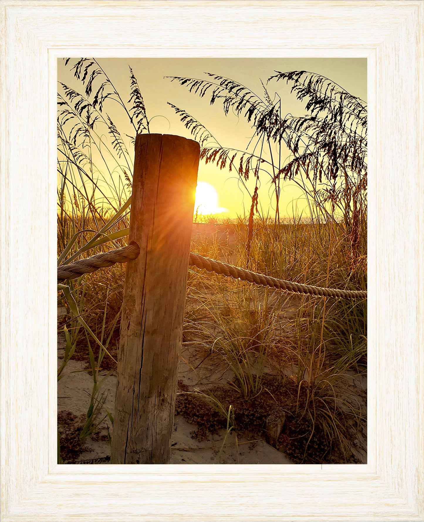 Sunrise at the Dunes -- Digital Print