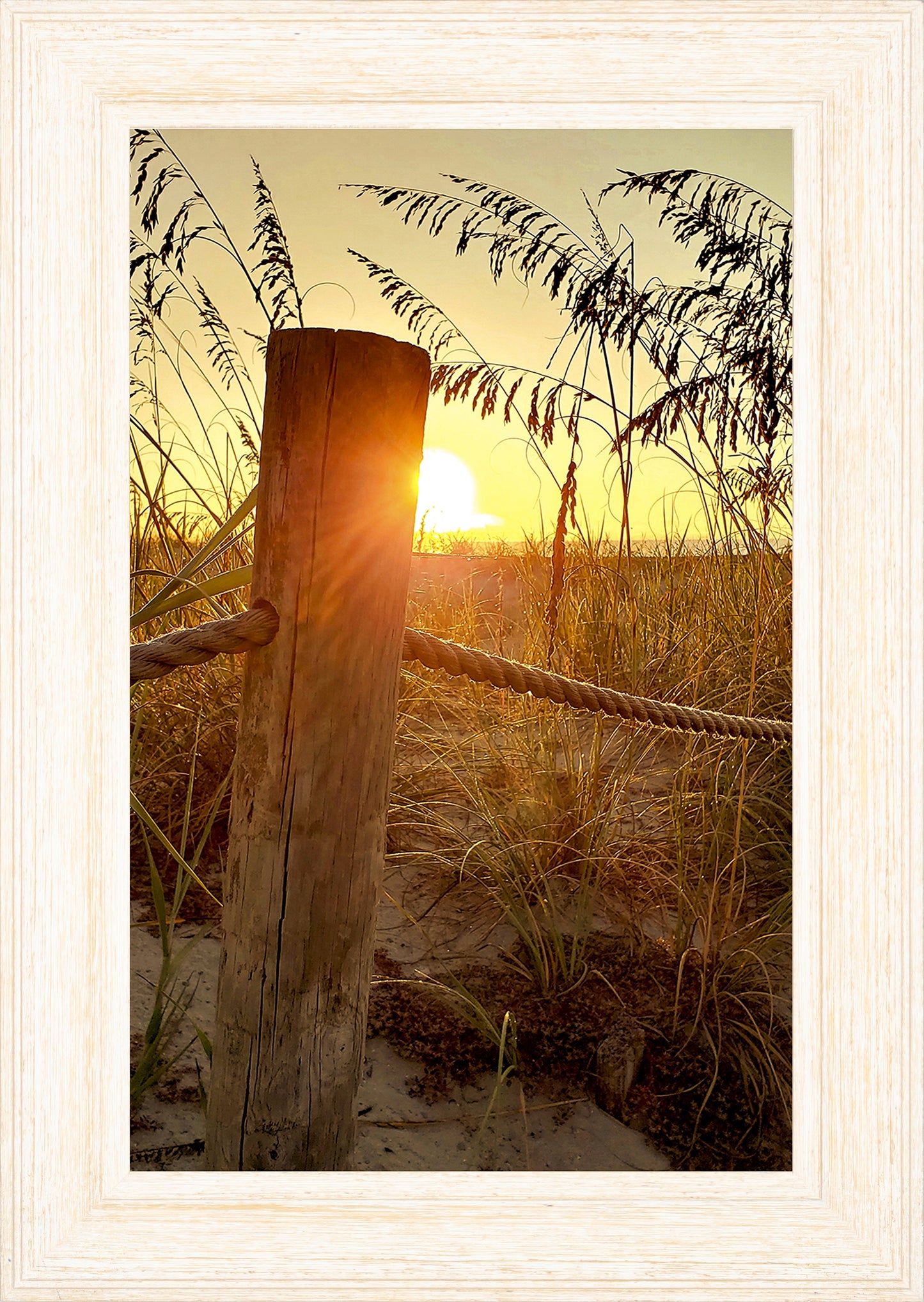 Sunrise at the Dunes -- Digital Print
