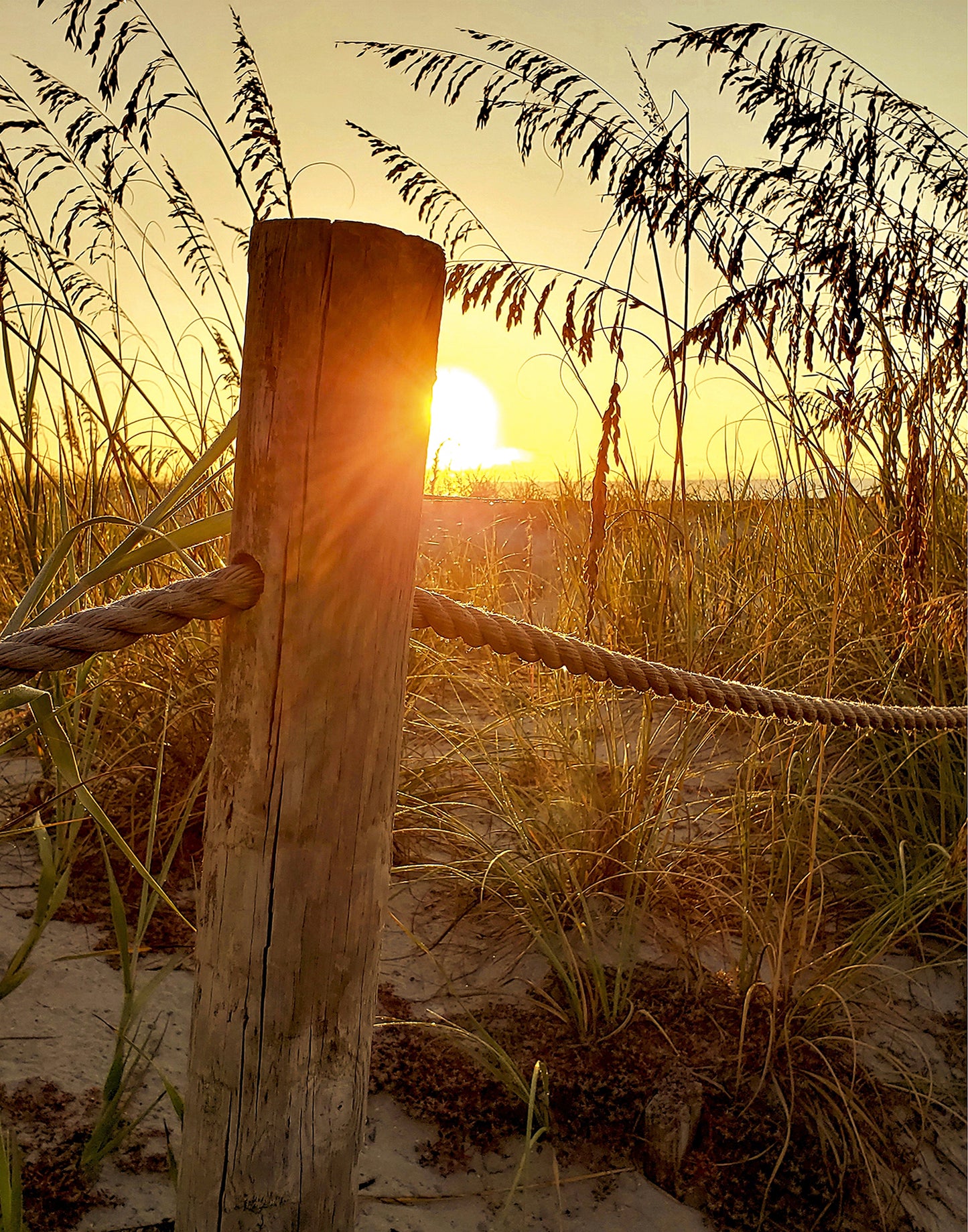 Sunrise at the Dunes -- Digital Print