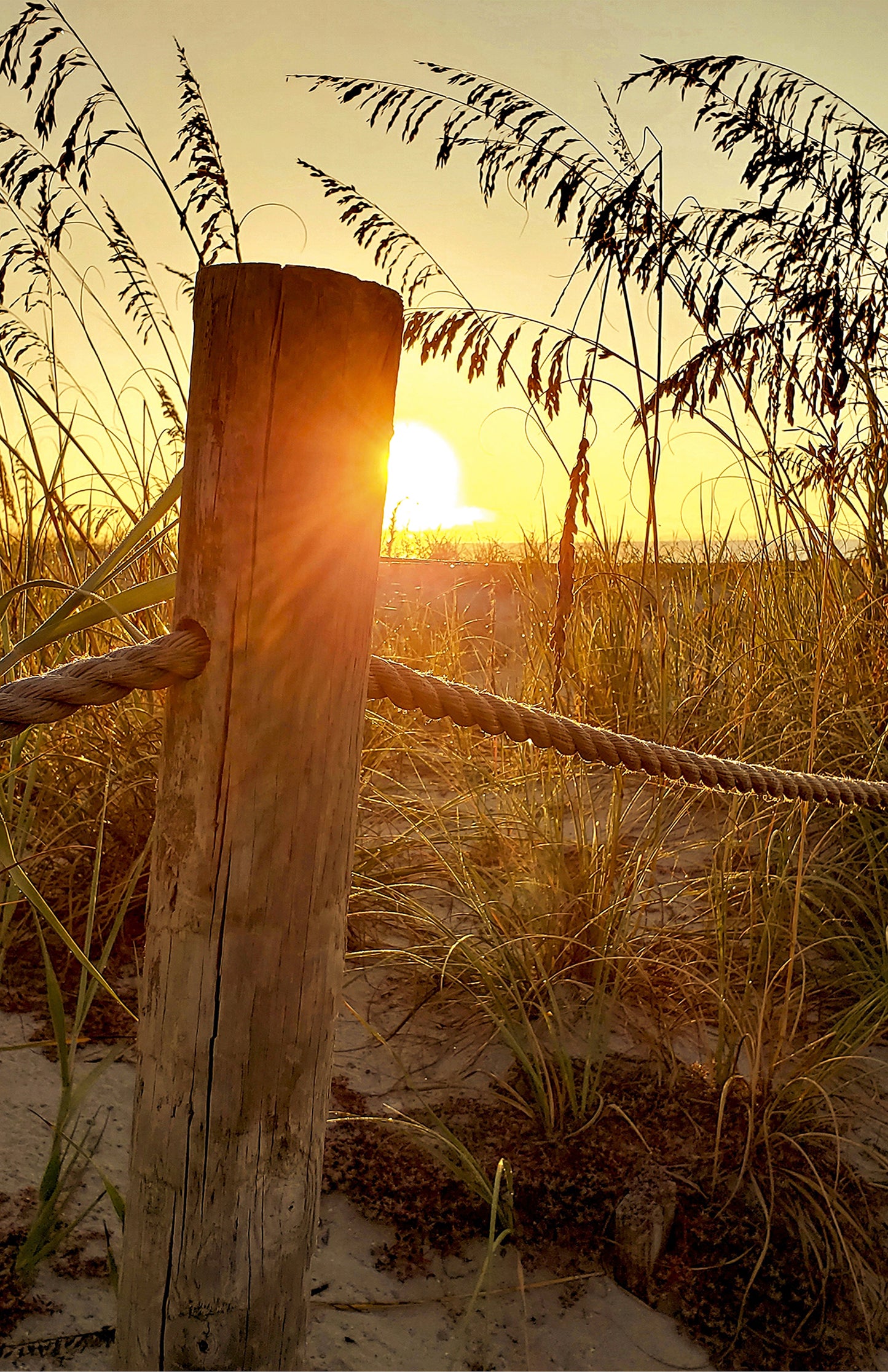 Sunrise at the Dunes -- Digital Print