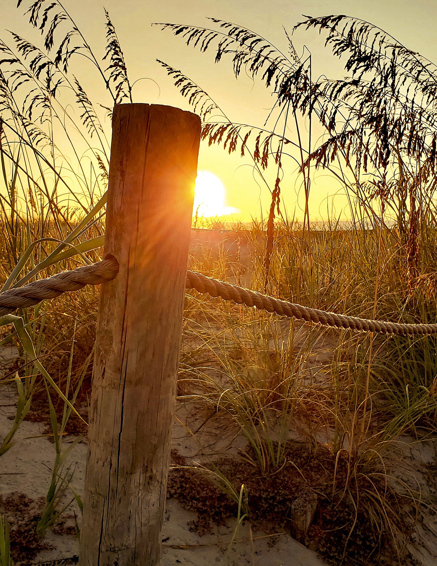 Sunrise at the Dunes -- Digital Print