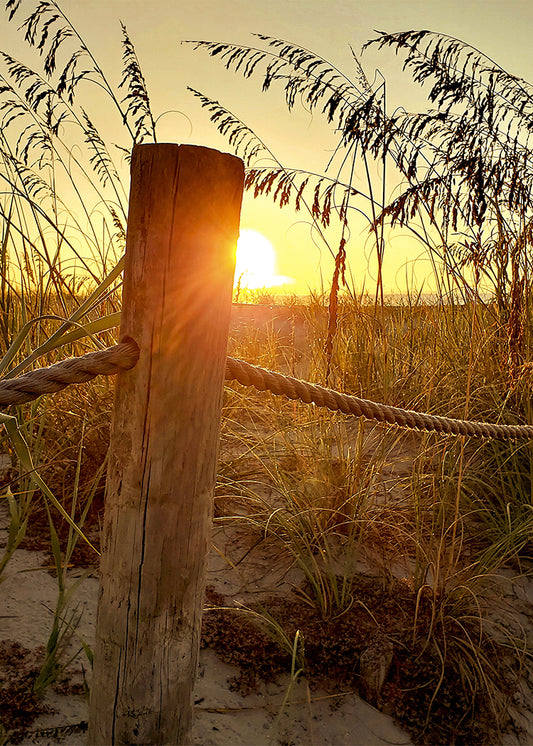 Sunrise at the Dunes -- Digital Print