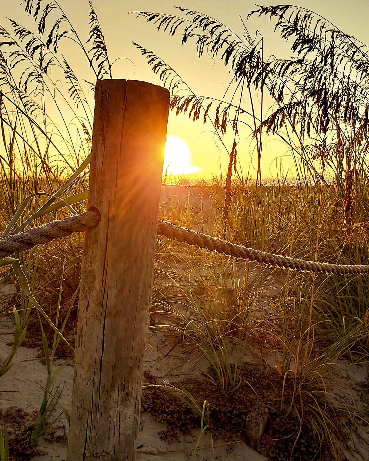 Sunrise at the Dunes -- Digital Print