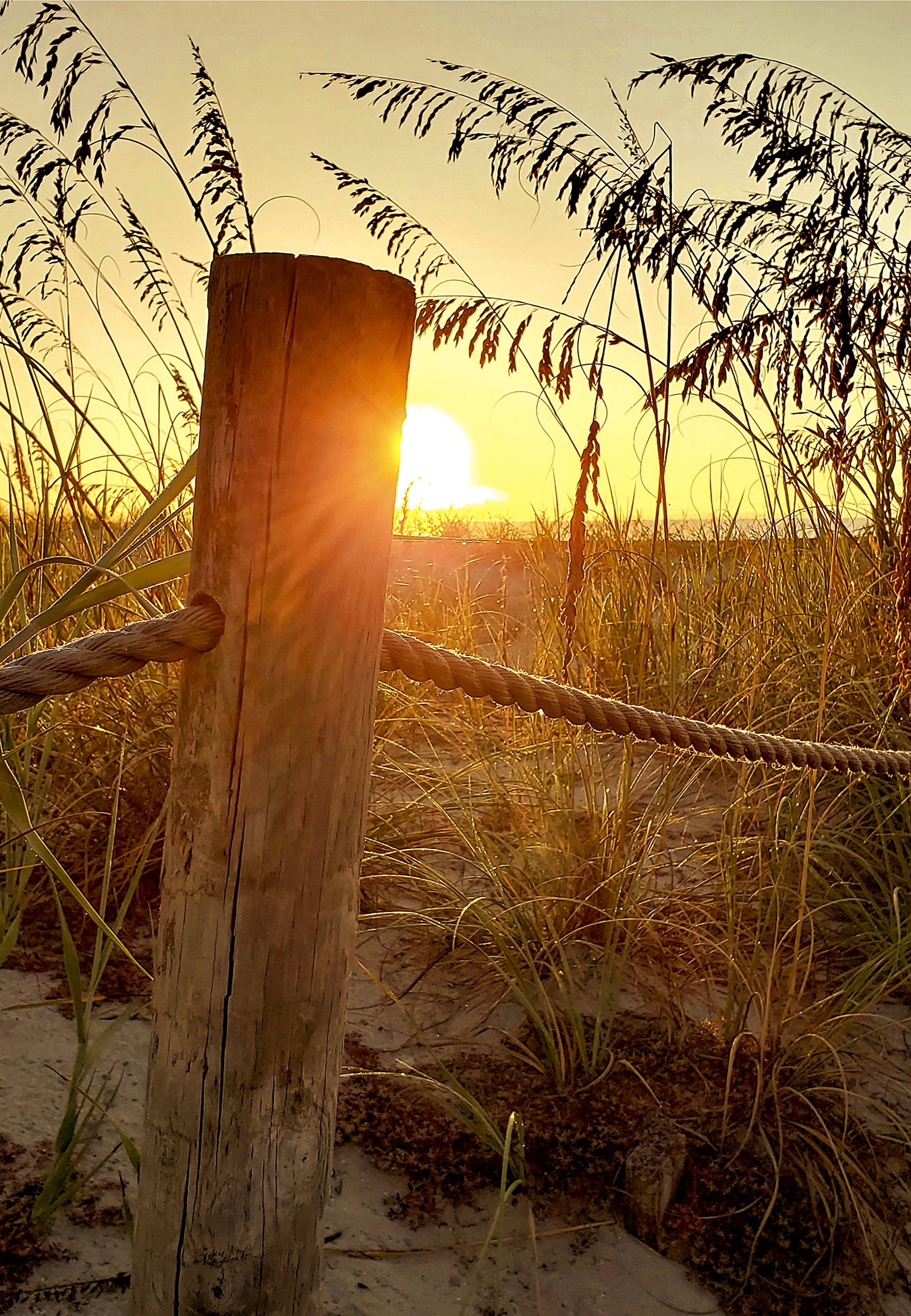 Sunrise at the Dunes -- Digital Print