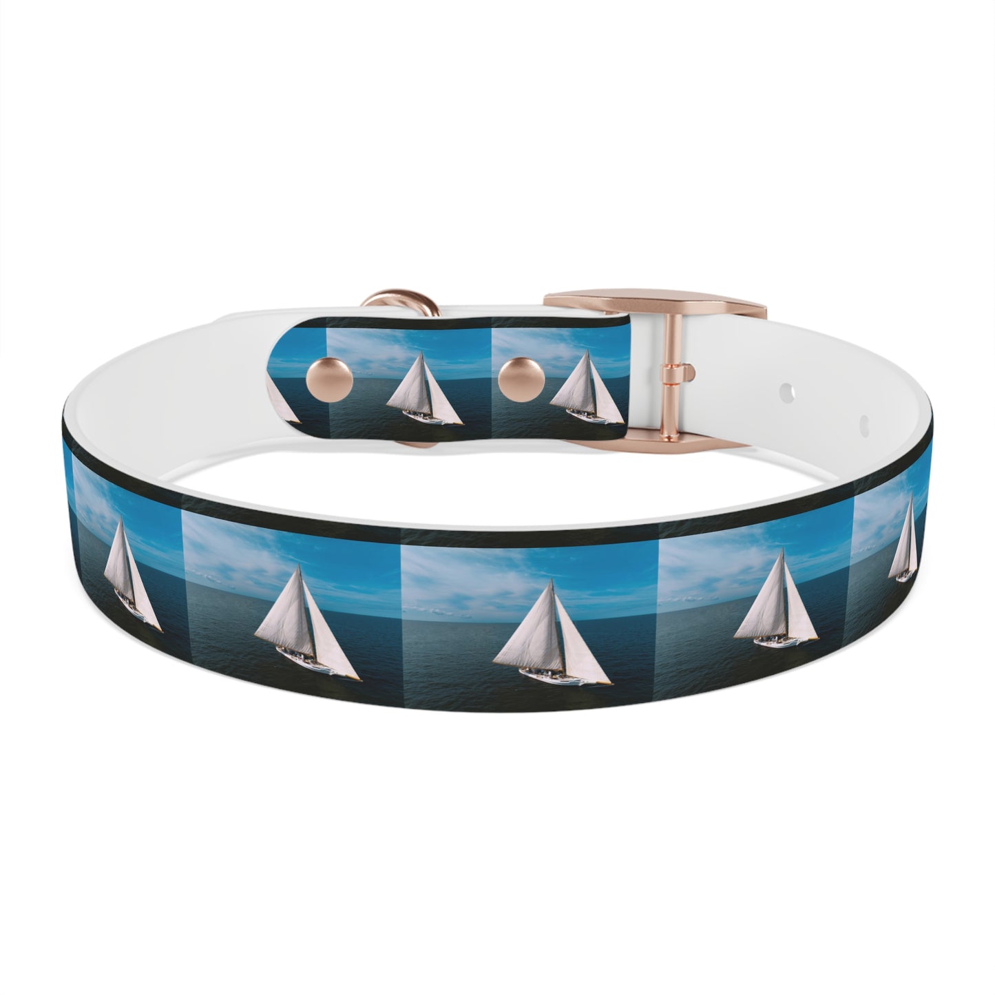 Skipjack Dog Collar