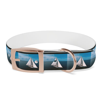 Skipjack Dog Collar