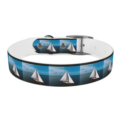 Skipjack Dog Collar