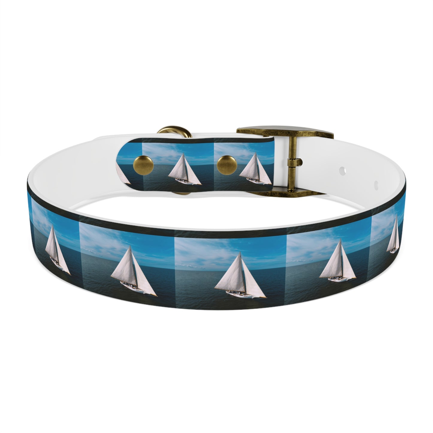 Skipjack Dog Collar