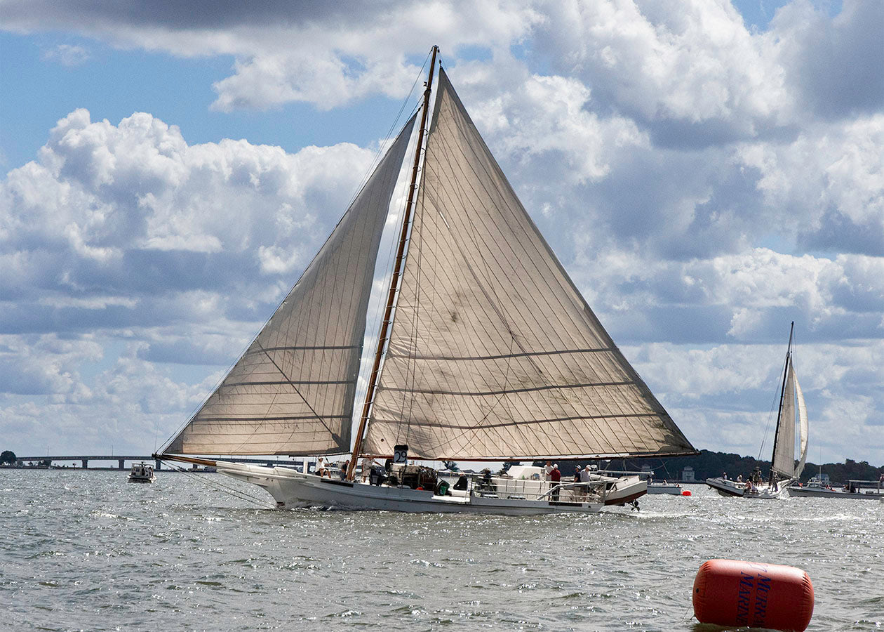 2025 Deal Island Skipjack Races - Rebecca T Ruark Finishes