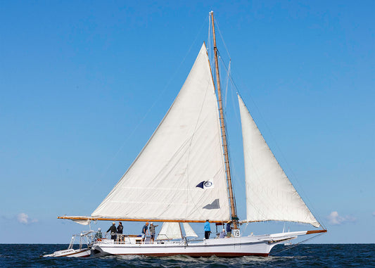 2025 Deal Island Skipjack Races - Rosie Parks