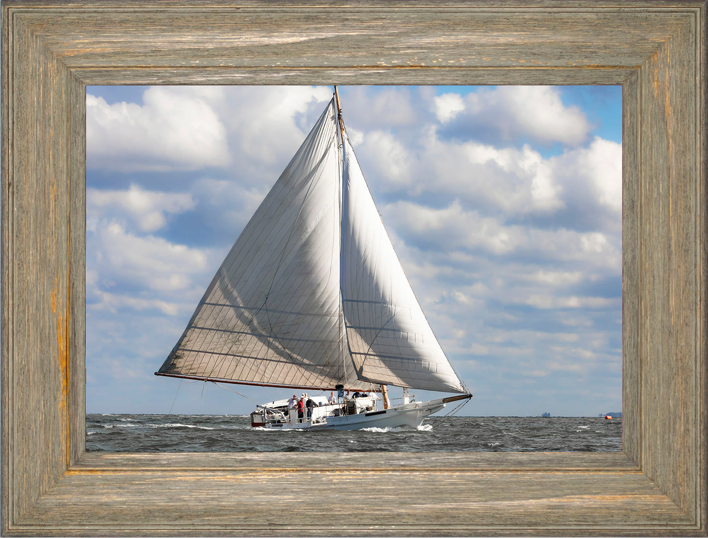 2025 Deal Island Skipjack Races - The Ruark