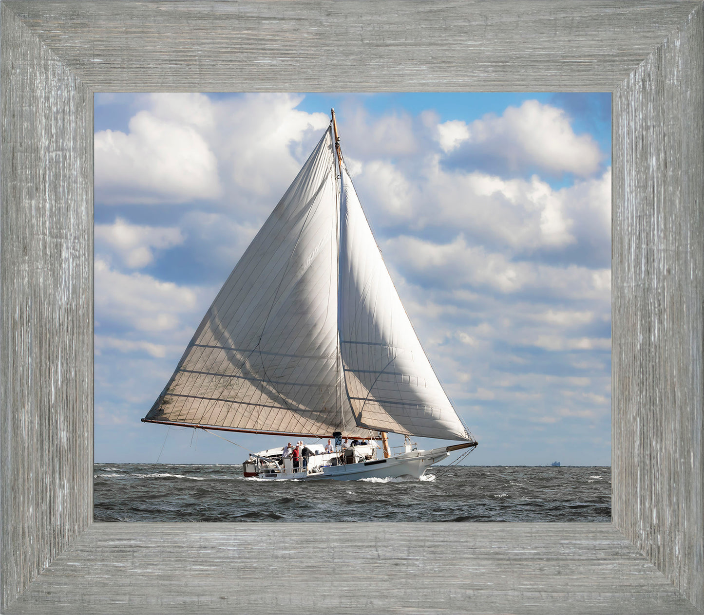 2025 Deal Island Skipjack Races - The Ruark