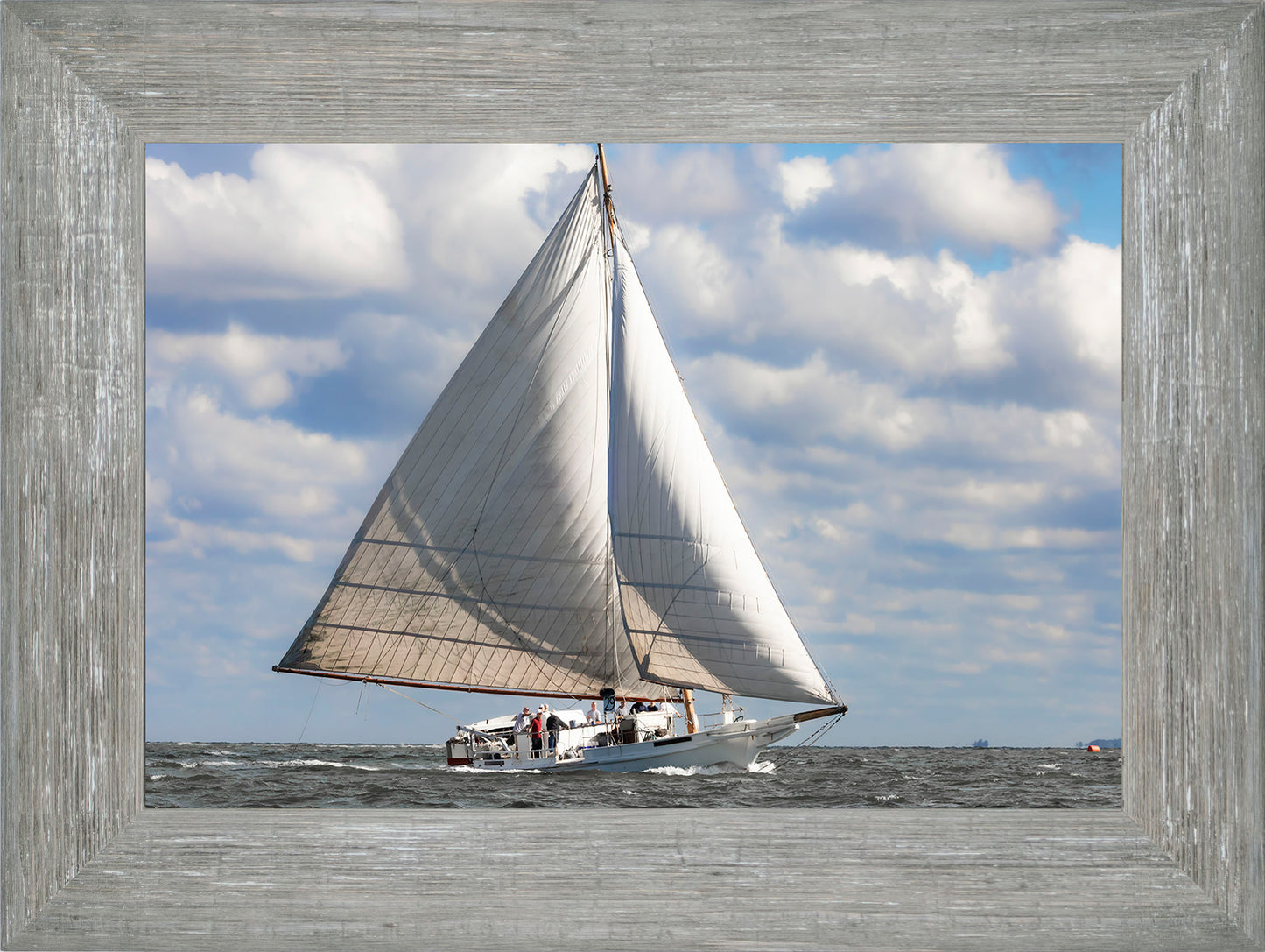 2025 Deal Island Skipjack Races - The Ruark