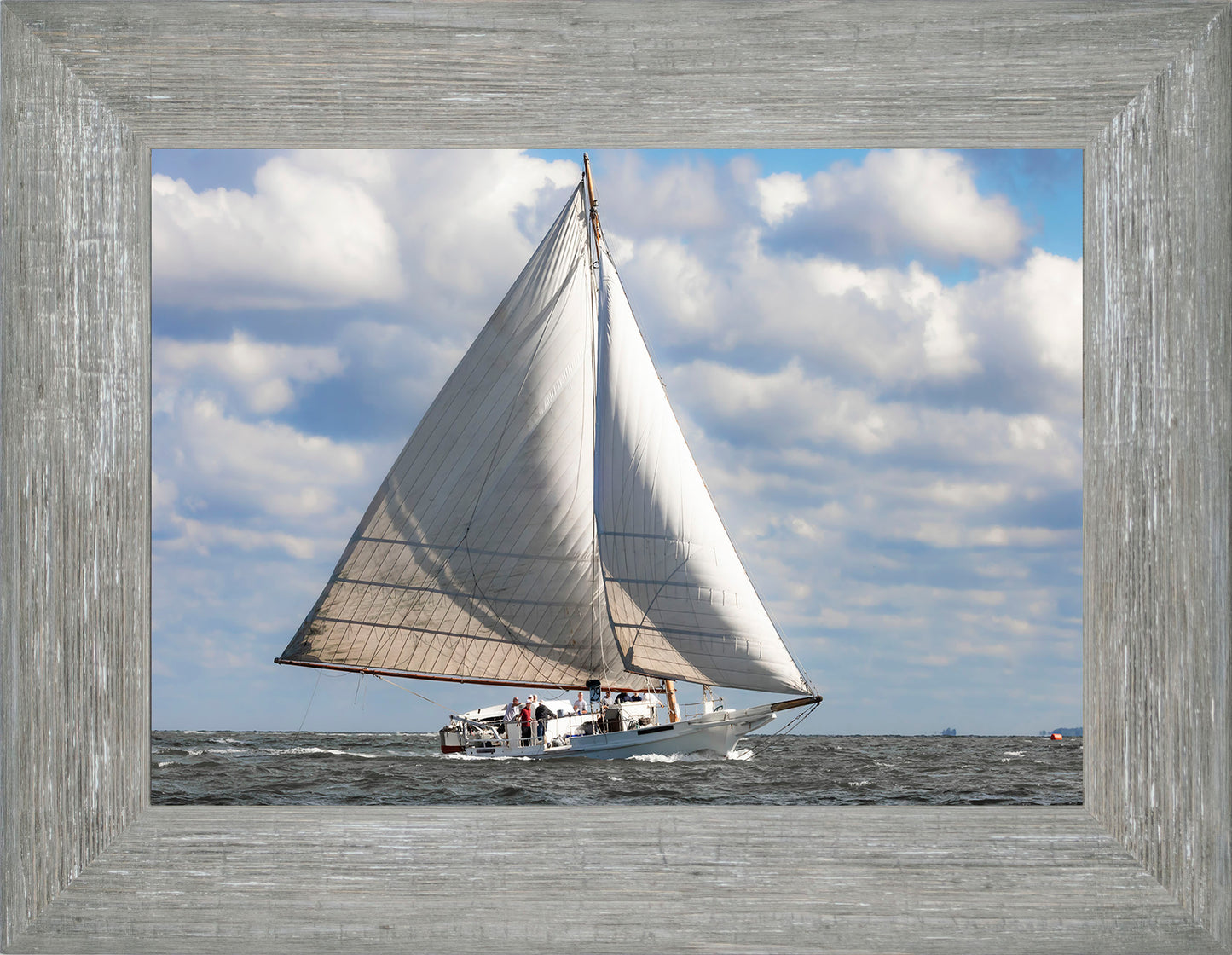 2025 Deal Island Skipjack Races - The Ruark