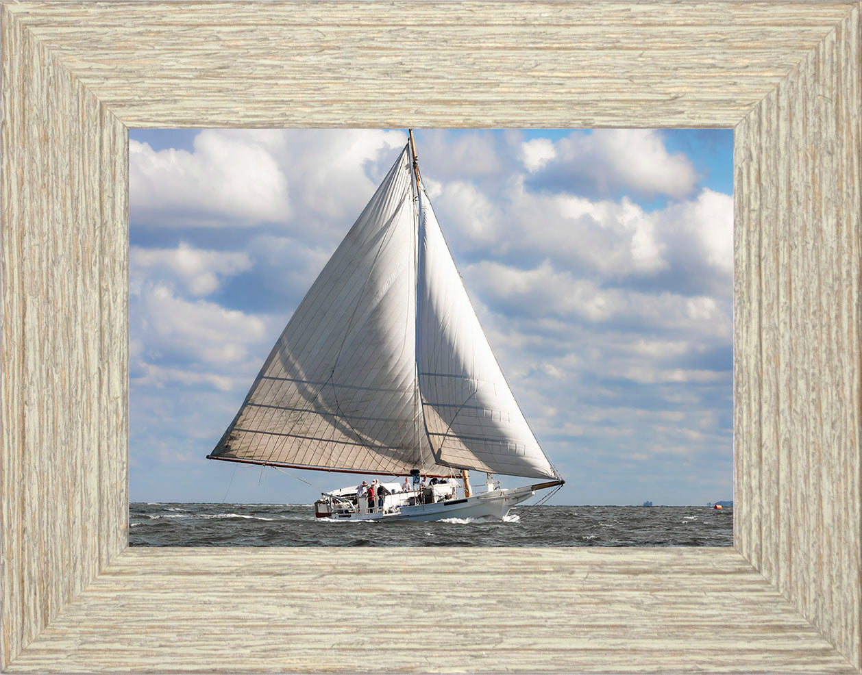 2025 Deal Island Skipjack Races - The Ruark