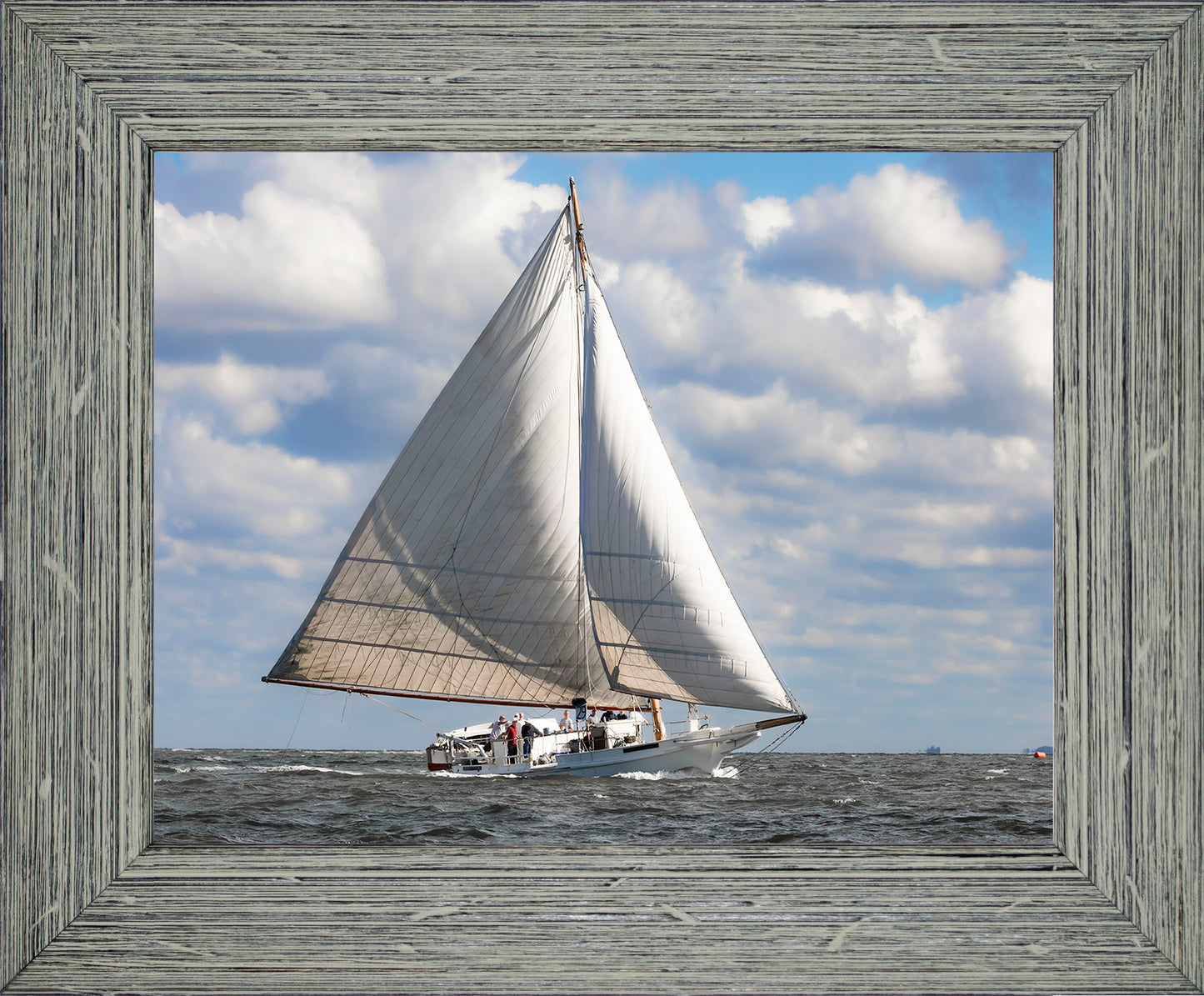 2025 Deal Island Skipjack Races - The Ruark