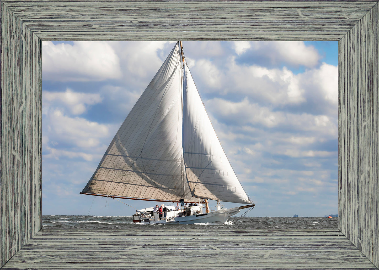 2025 Deal Island Skipjack Races - The Ruark