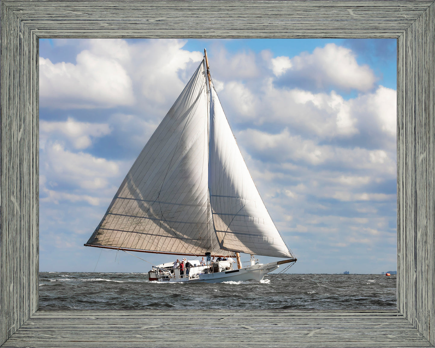 2025 Deal Island Skipjack Races - The Ruark